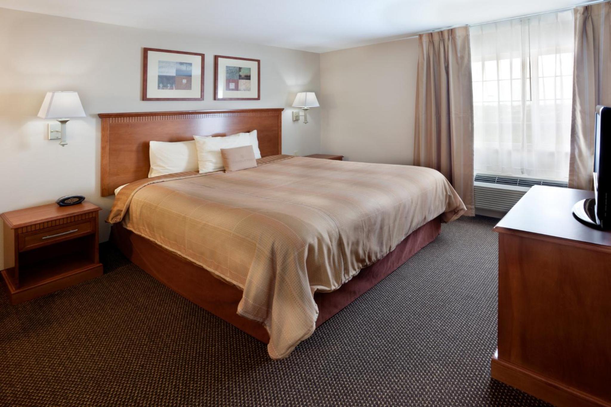 One-Bedroom King Suite - Photo 5