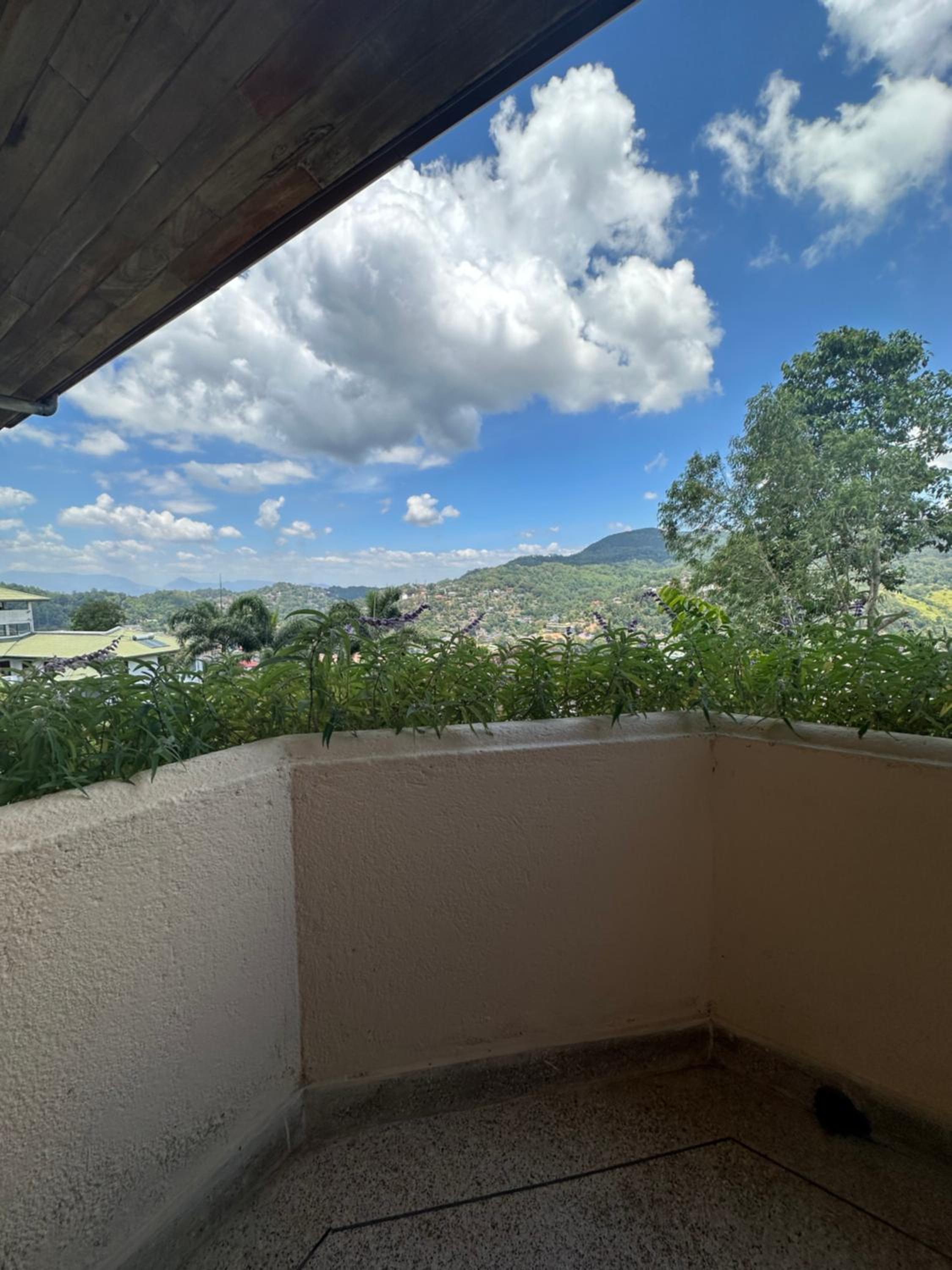 Standard Double Room with Garden View photo 2