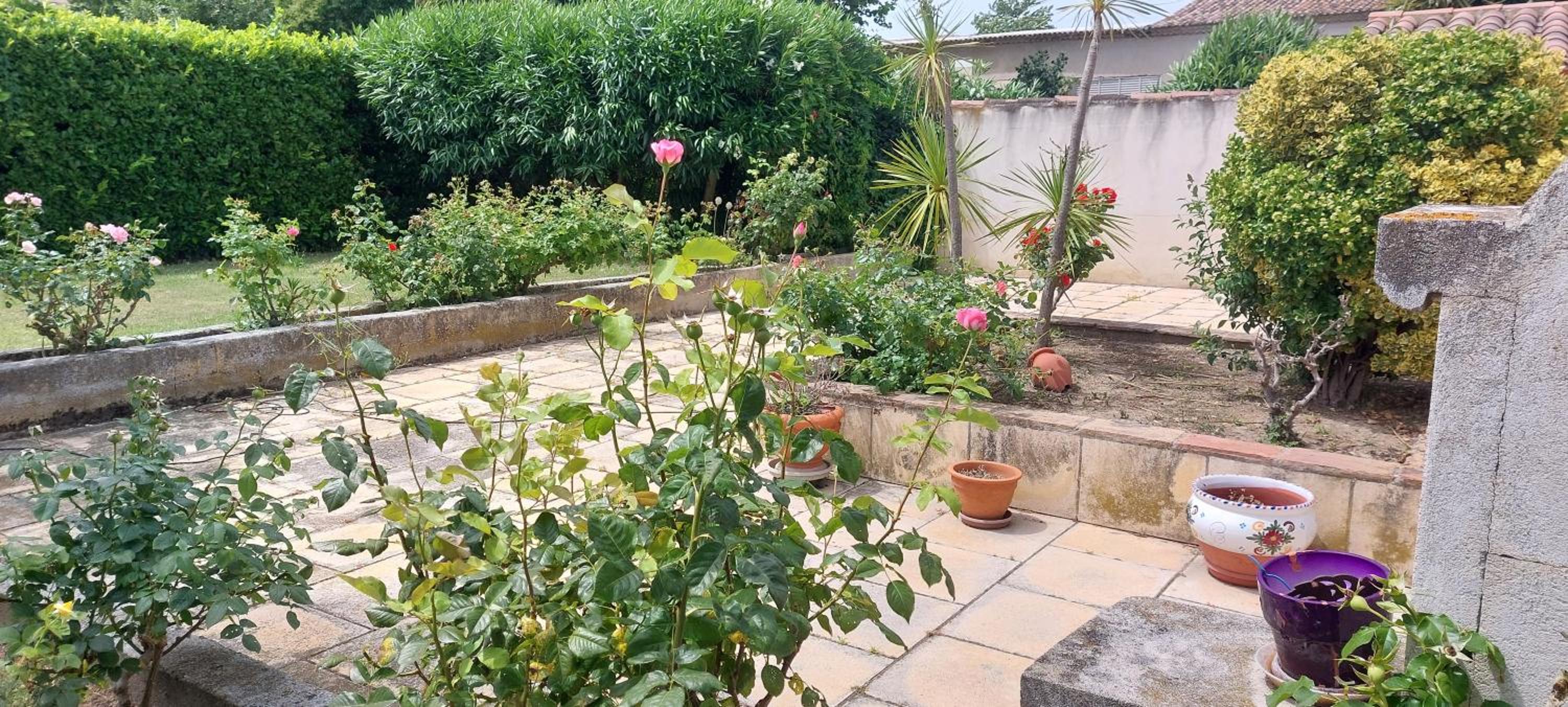 Three-Bedroom House photo 3