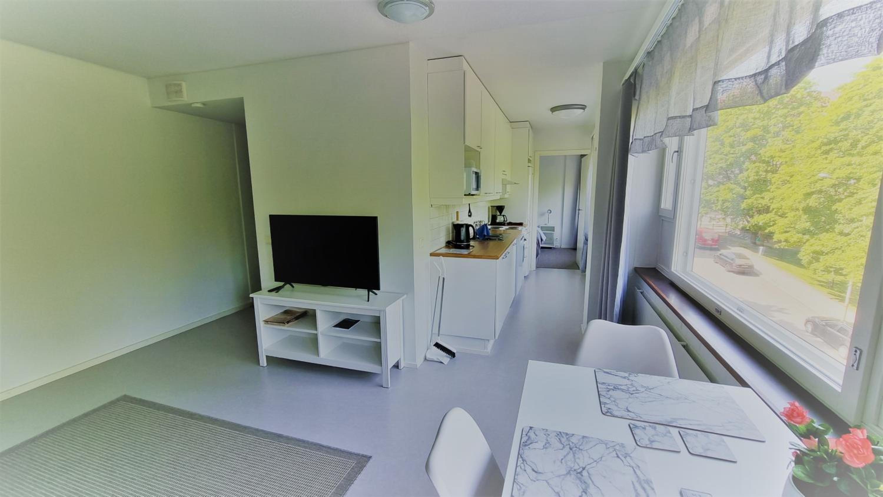 One-Bedroom Apartment photo 2