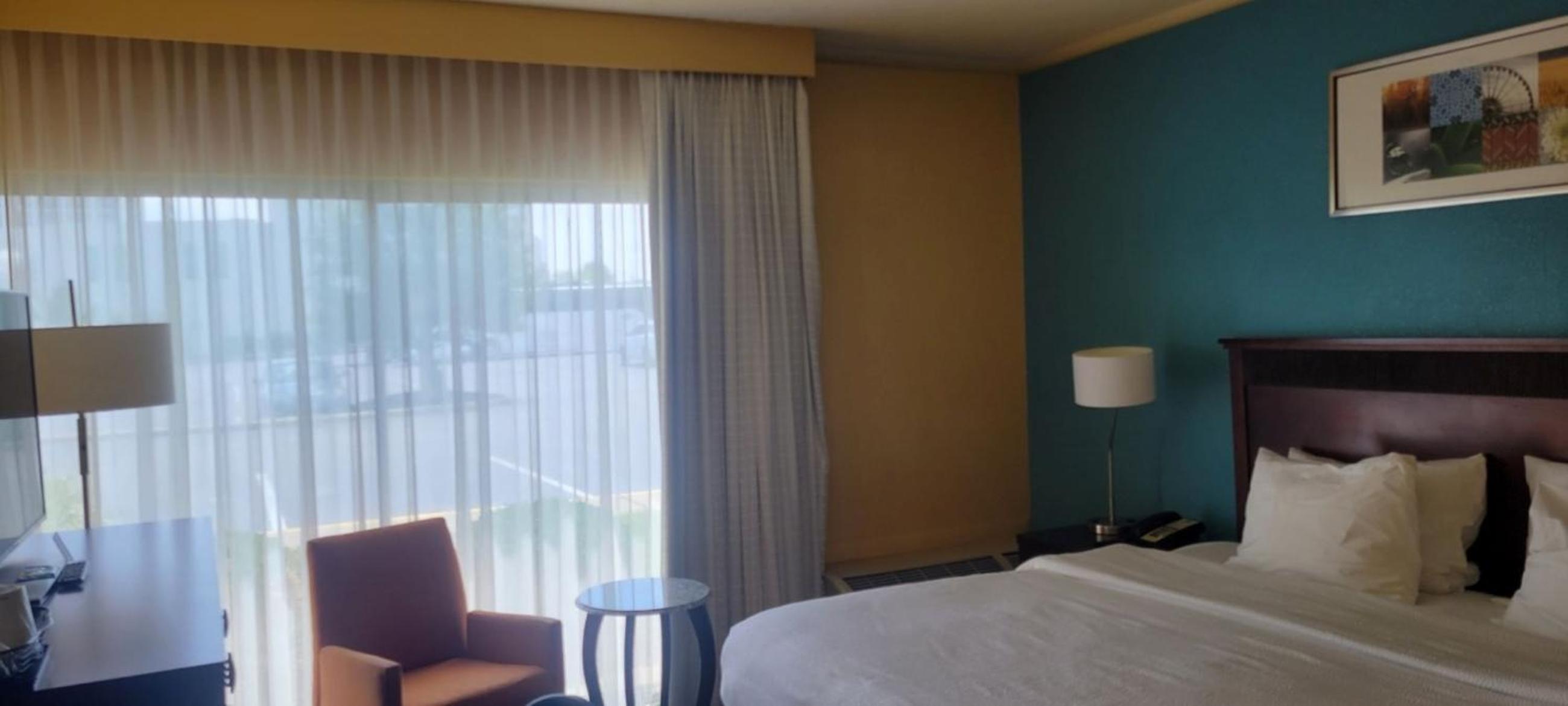 Deluxe King Suite - Photo 3