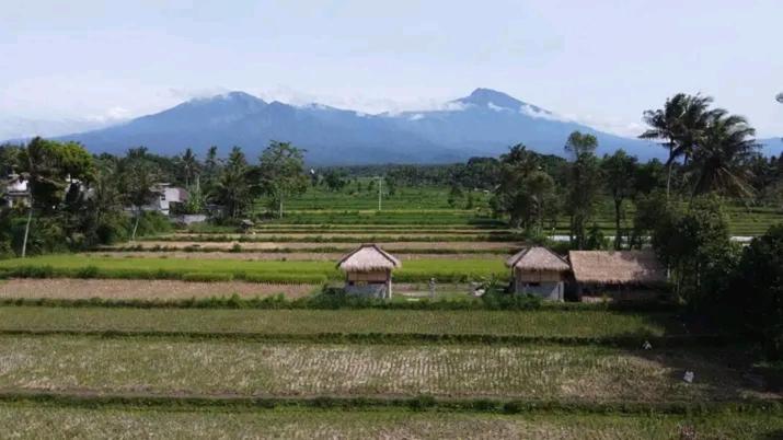 Double Room with Mountain View photo 2