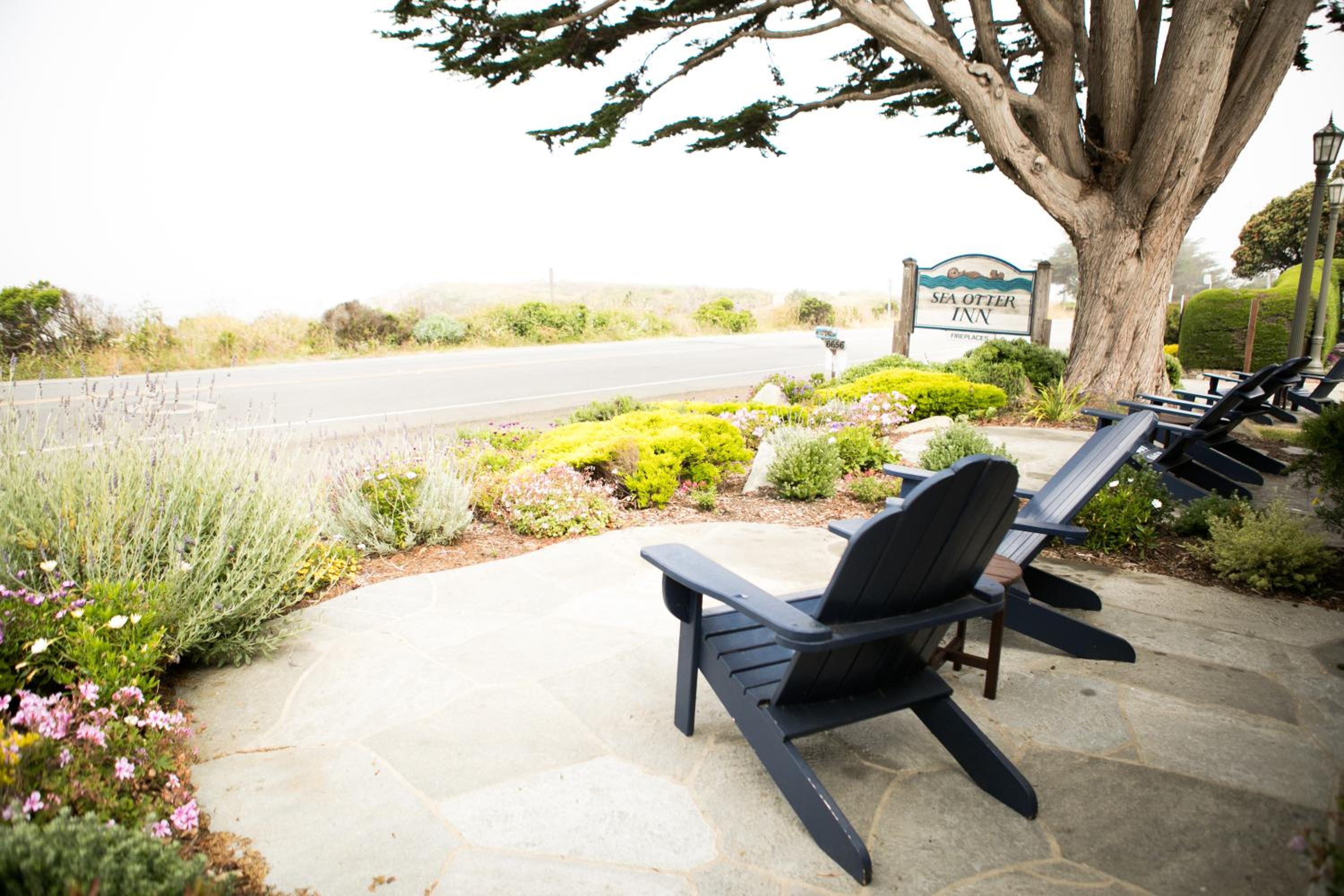 Deluxe King Room with Ocean View - Photo 7