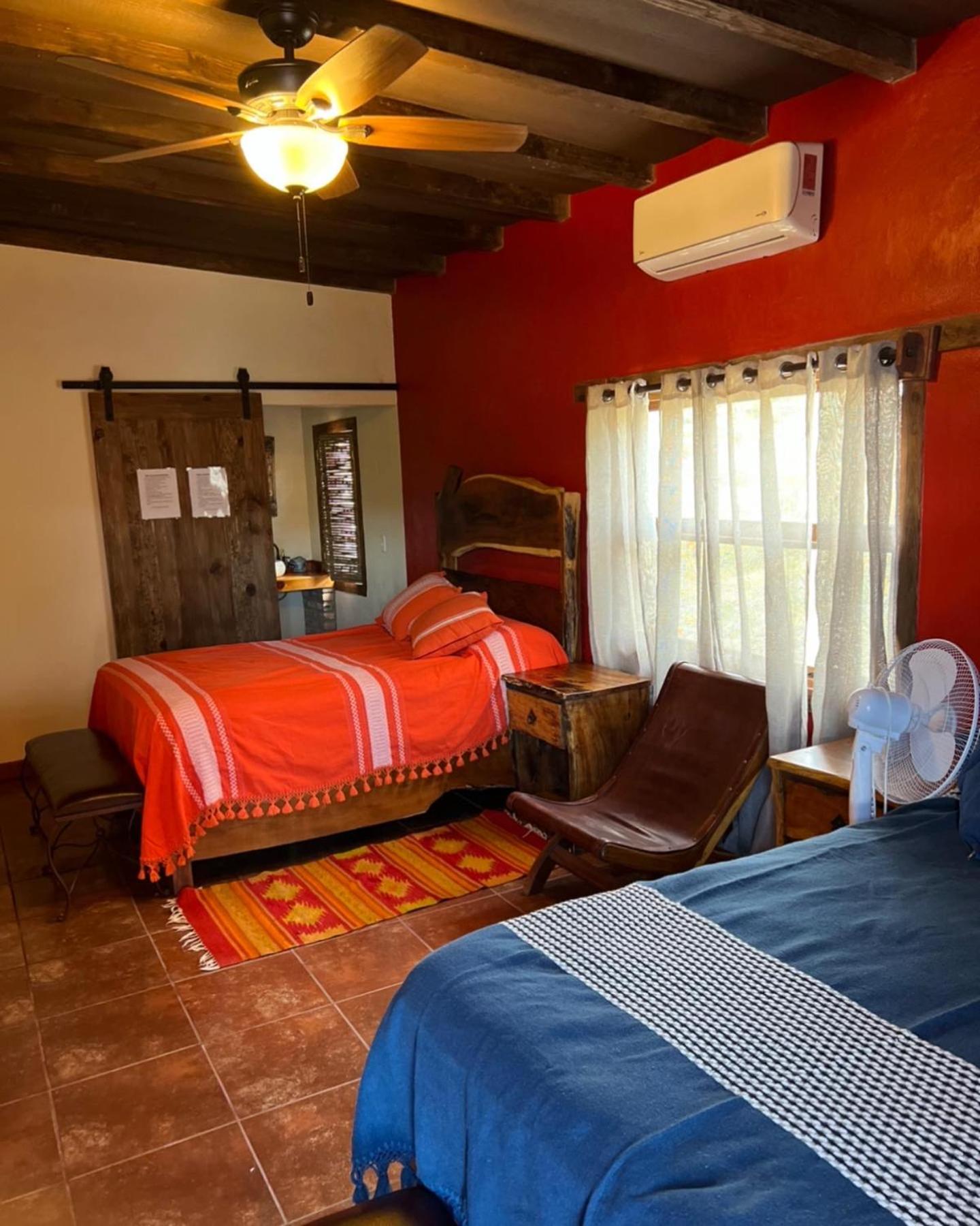 Deluxe Double Room photo 1