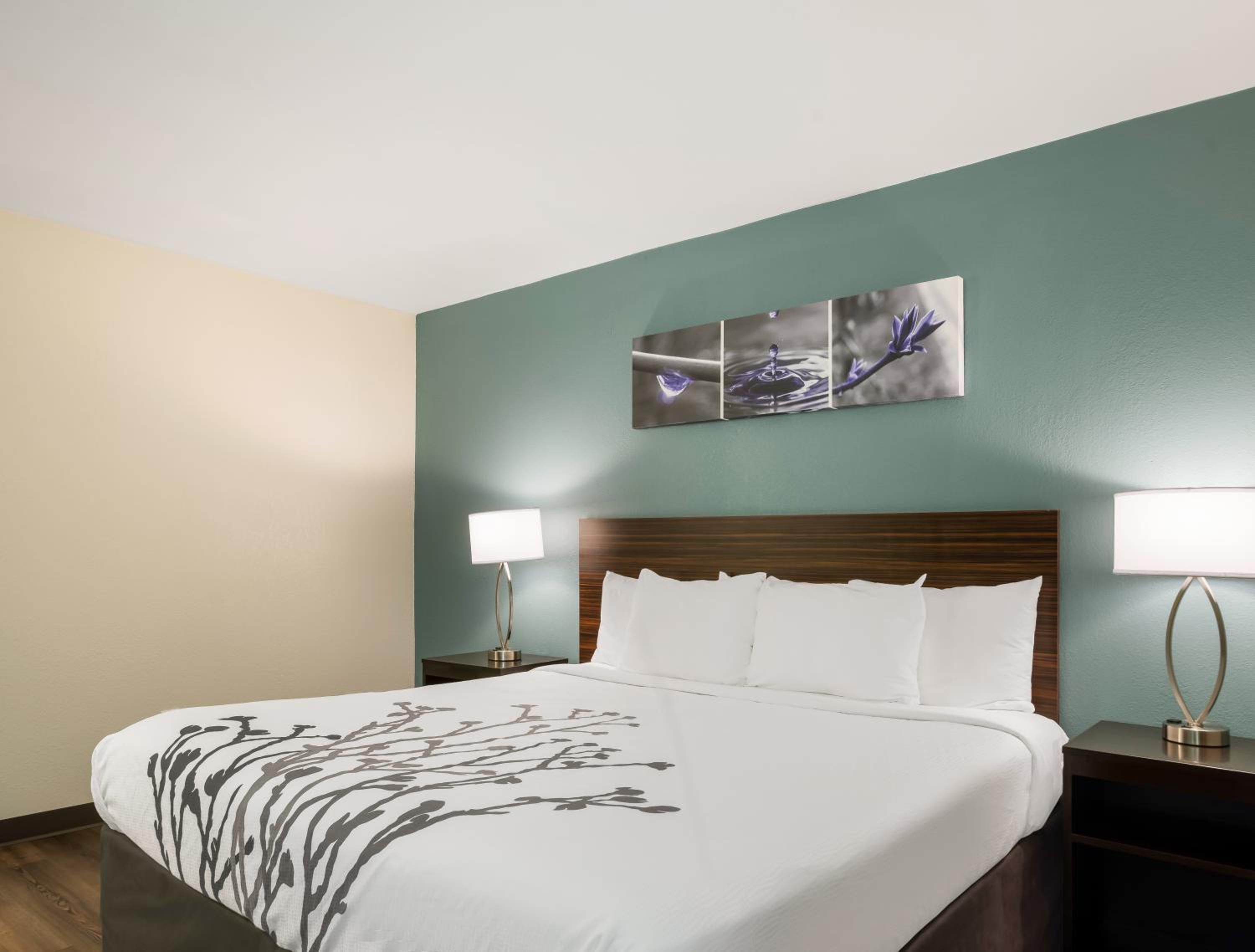 King Room with Roll-In Shower - Disability Access/Non Smoking - Photo 3