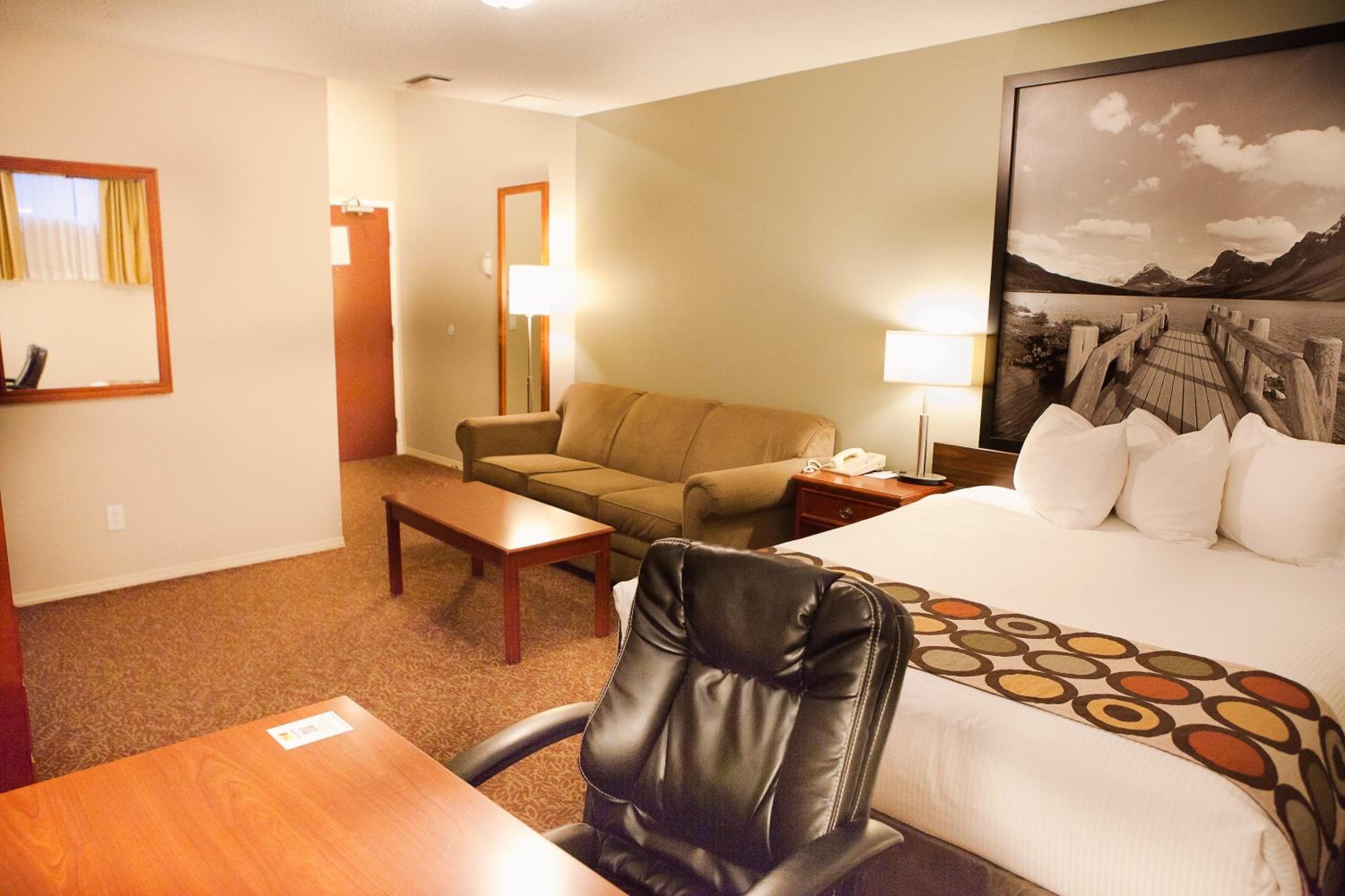 One-Bedroom Queen Studio Suite (Basement) - Non-Smoking
