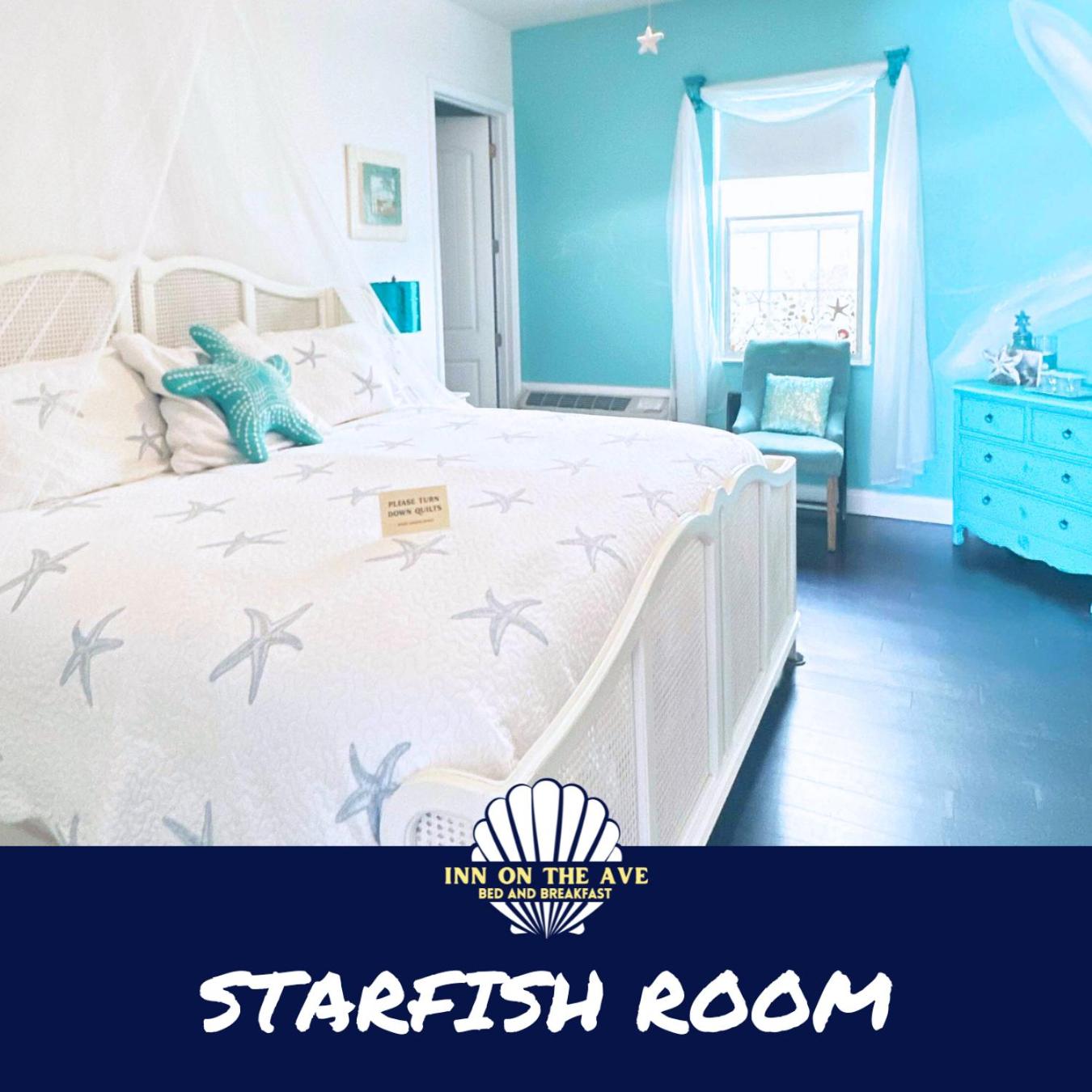 The Starfish King Room photo 2