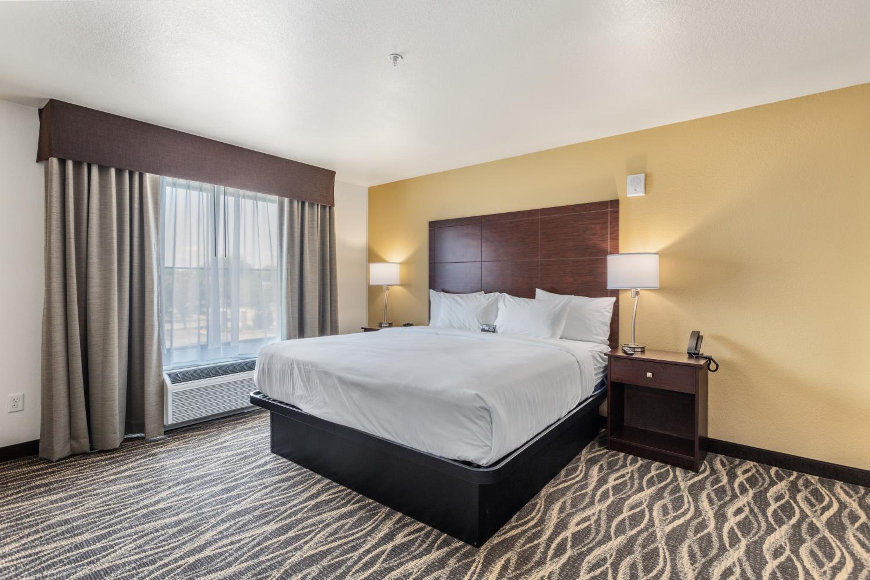 One-Bedroom Suite - Photo 5