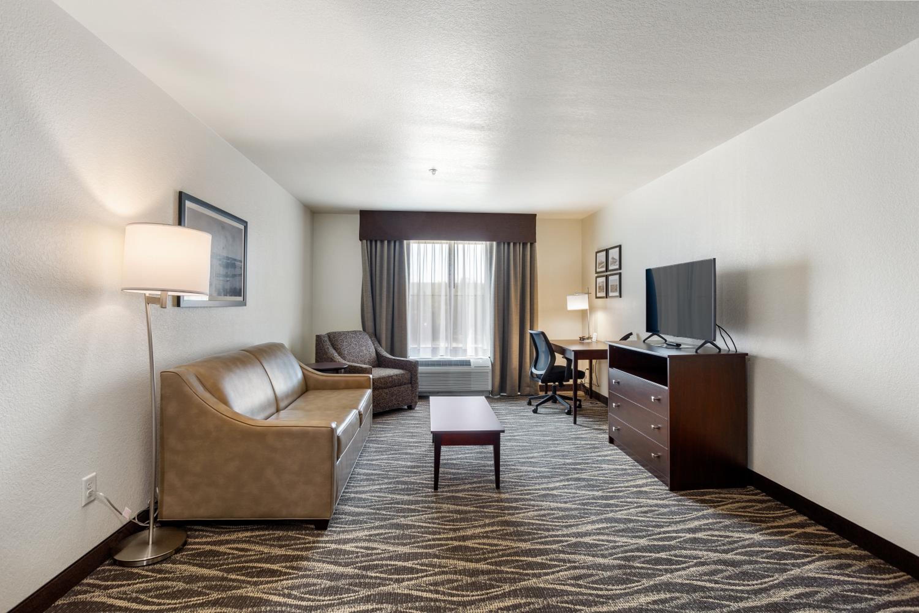 One-Bedroom Suite - Photo 4