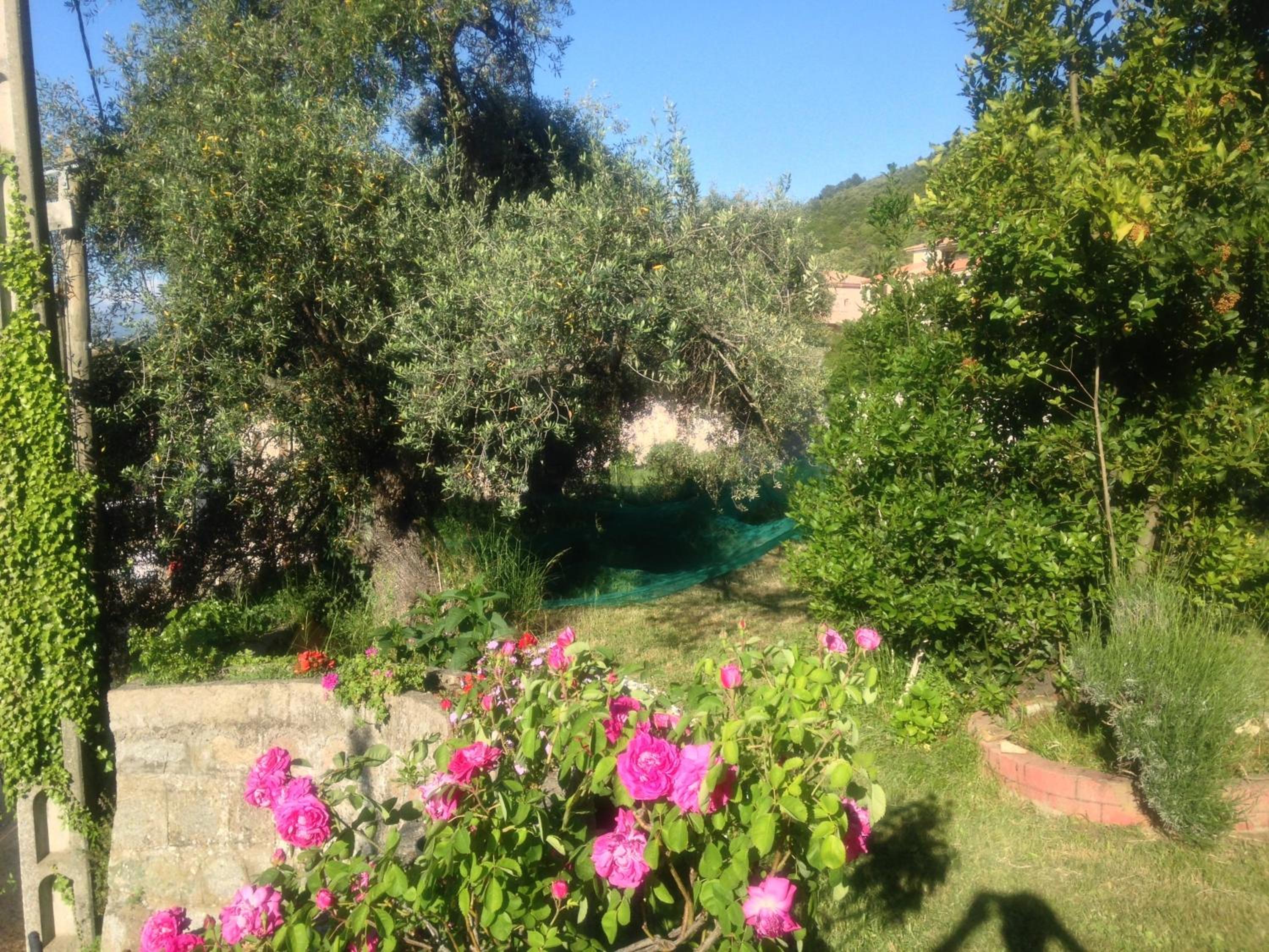 Double Room with Garden View photo 2