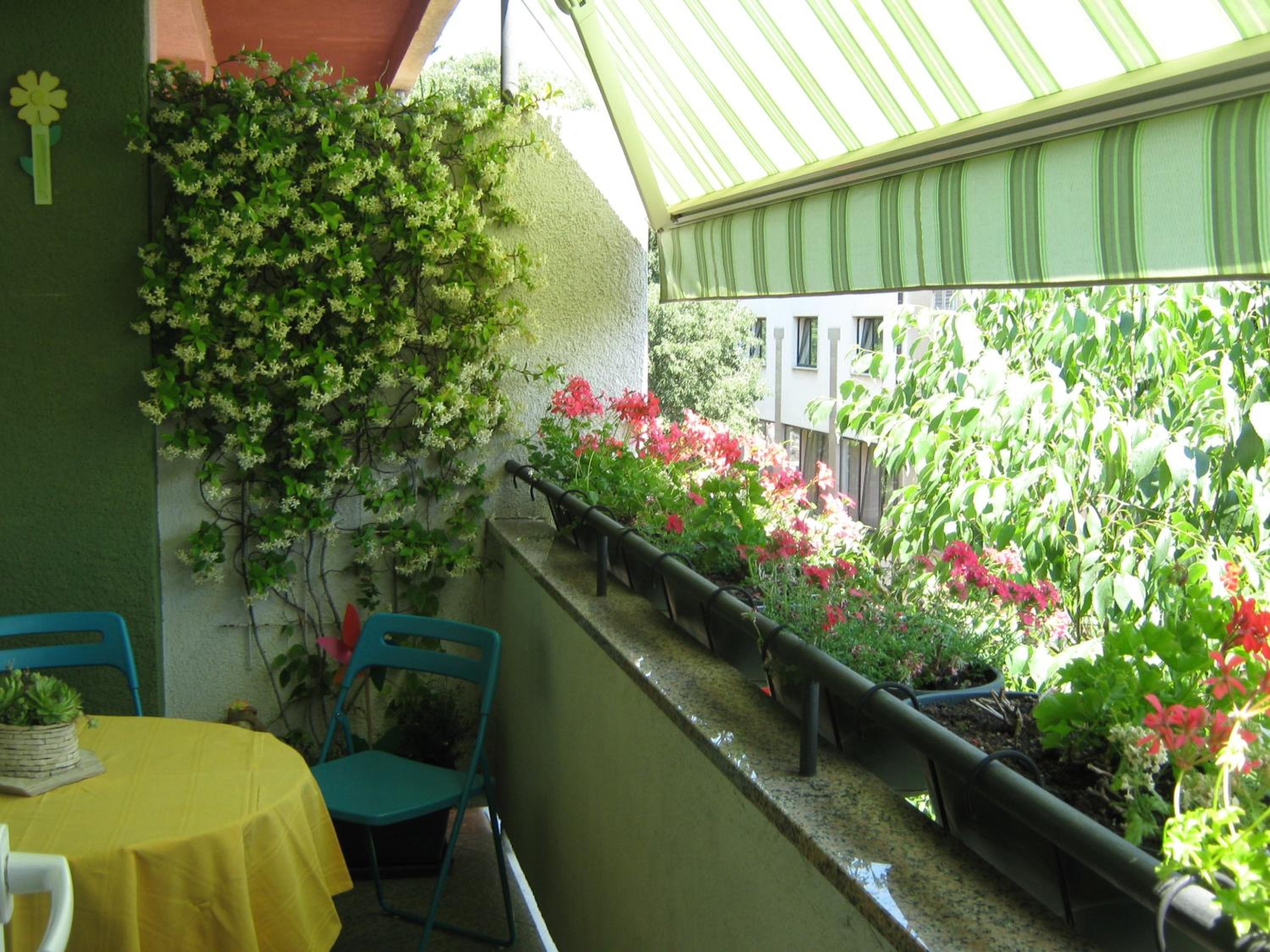Apartment - Photo 3