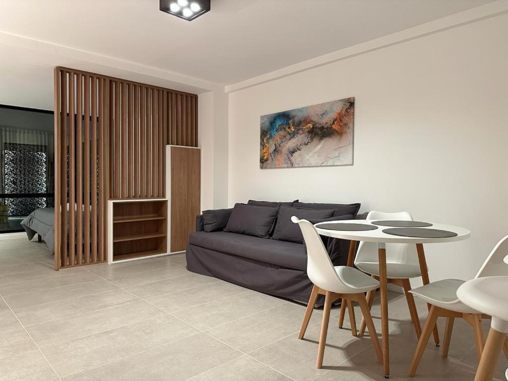 Studio with Sofa Bed