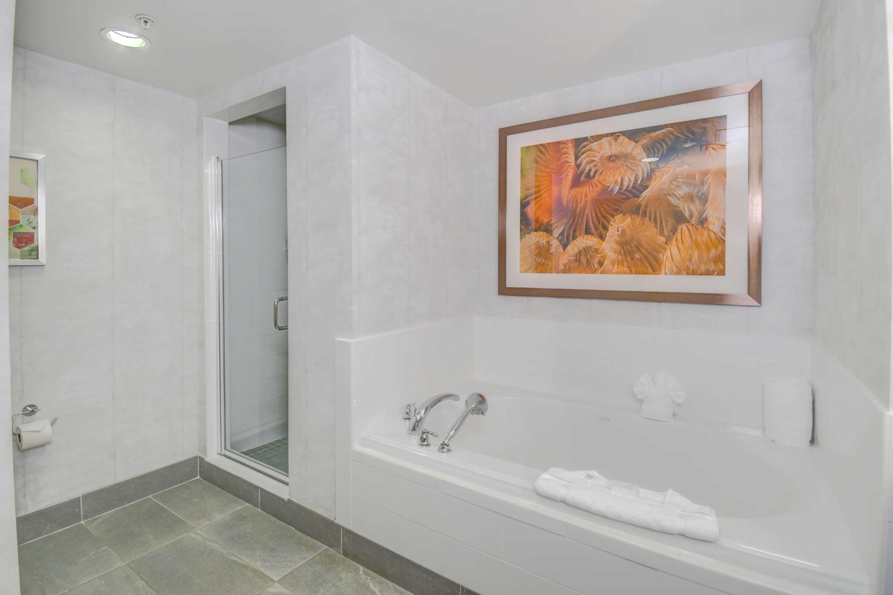 One-Bedroom Suite - Photo 5