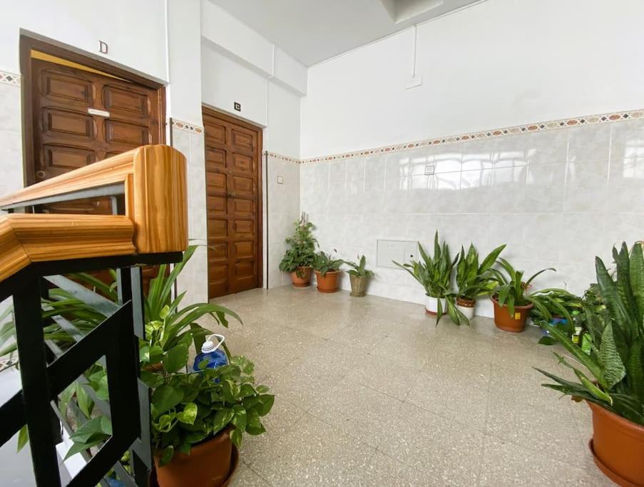 Three-Bedroom Apartment photo 3