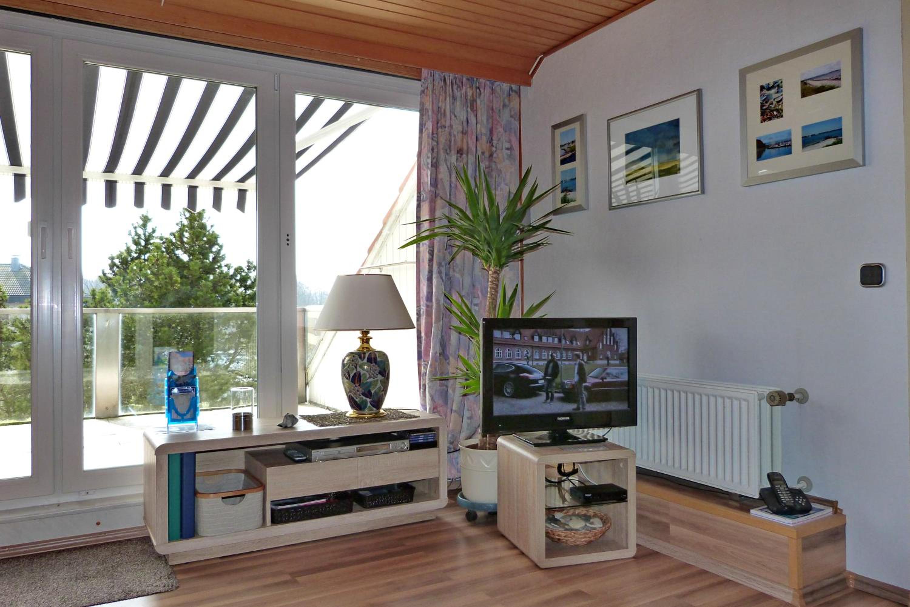 One-Bedroom Apartment photo 3