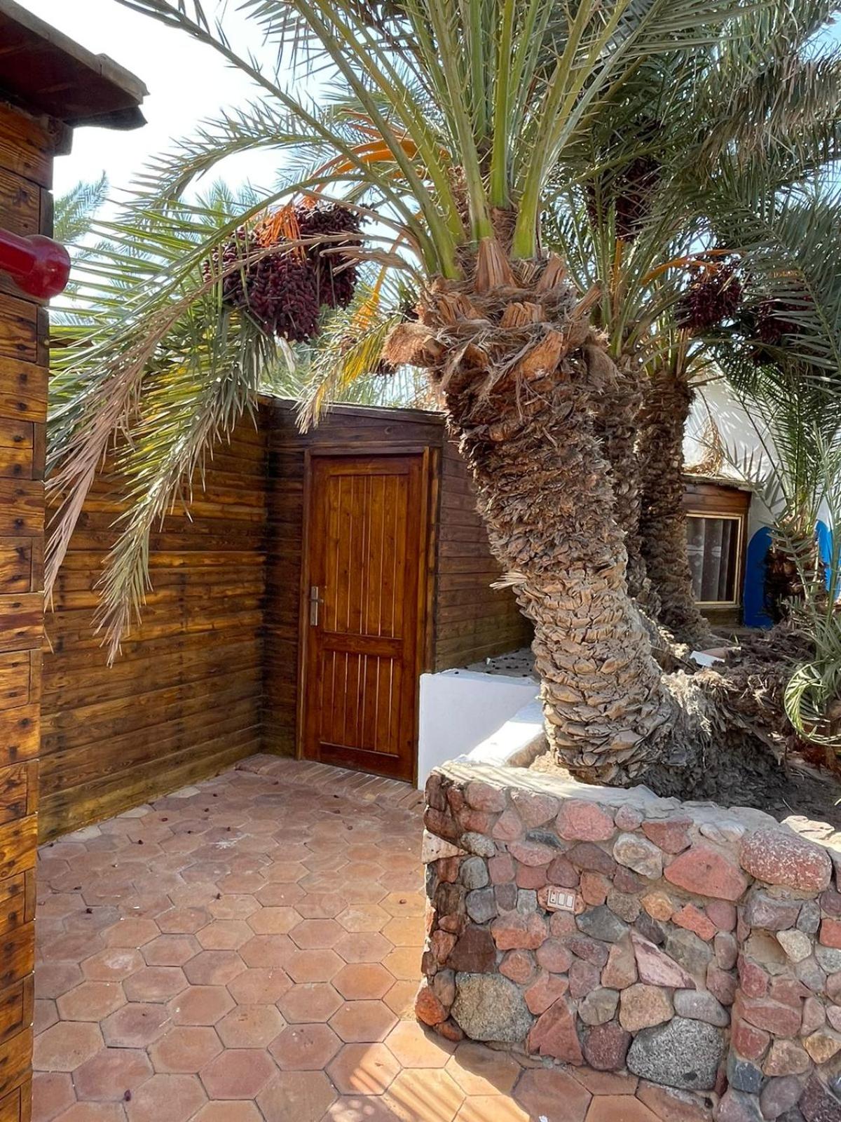 Deluxe Bungalow photo 1