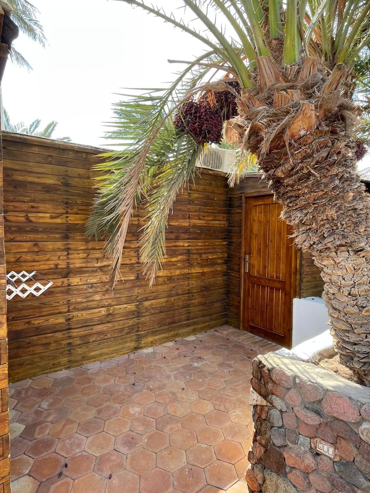 Deluxe Bungalow photo 2