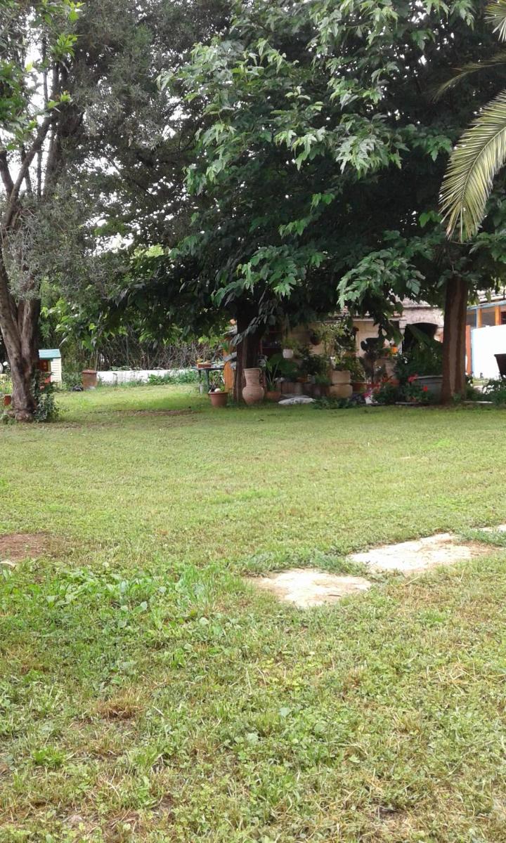 Apartment - Ground Floor photo 2