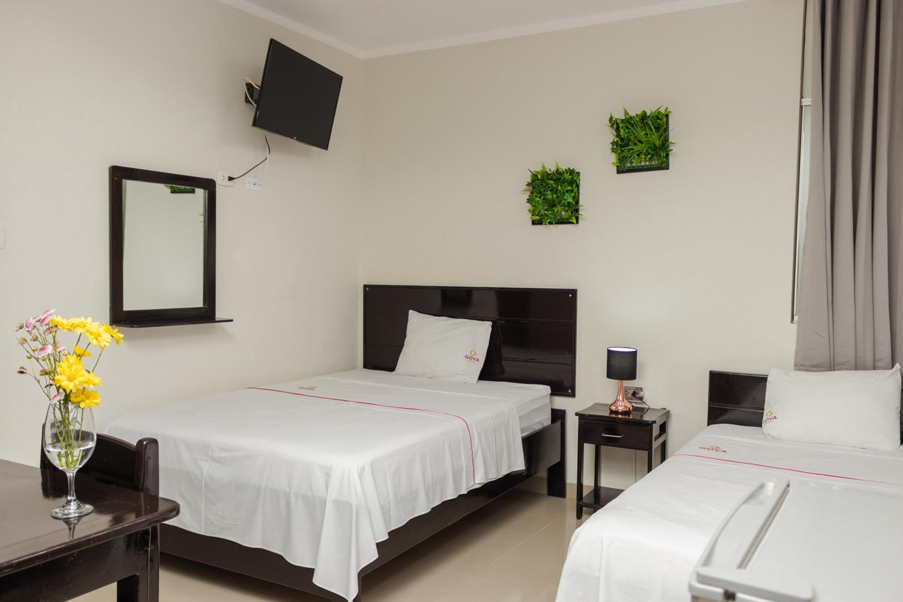 Standard Twin Room photo 3