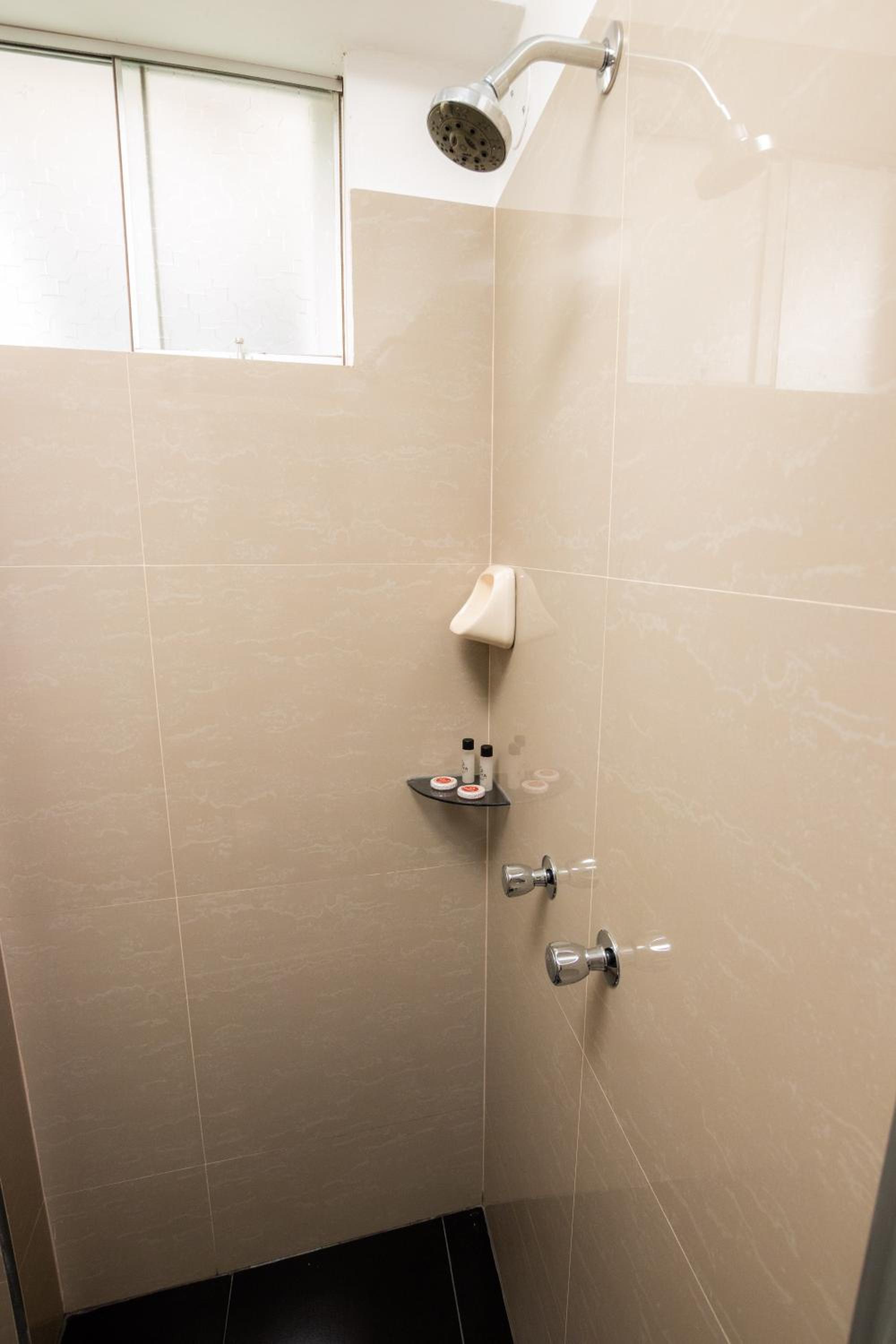Large Single Room photo 2