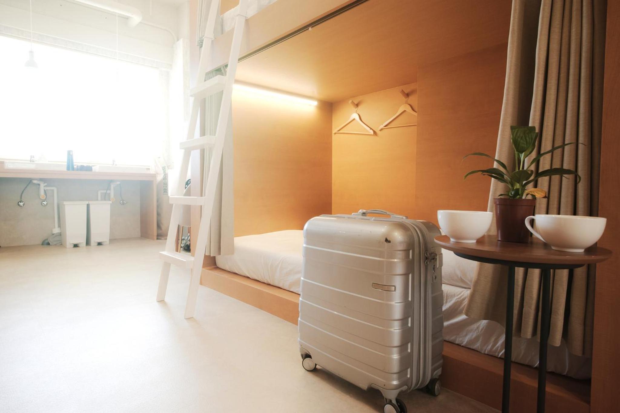 10-Bed Female Dormitory Room with Shared Bathroom photo 1