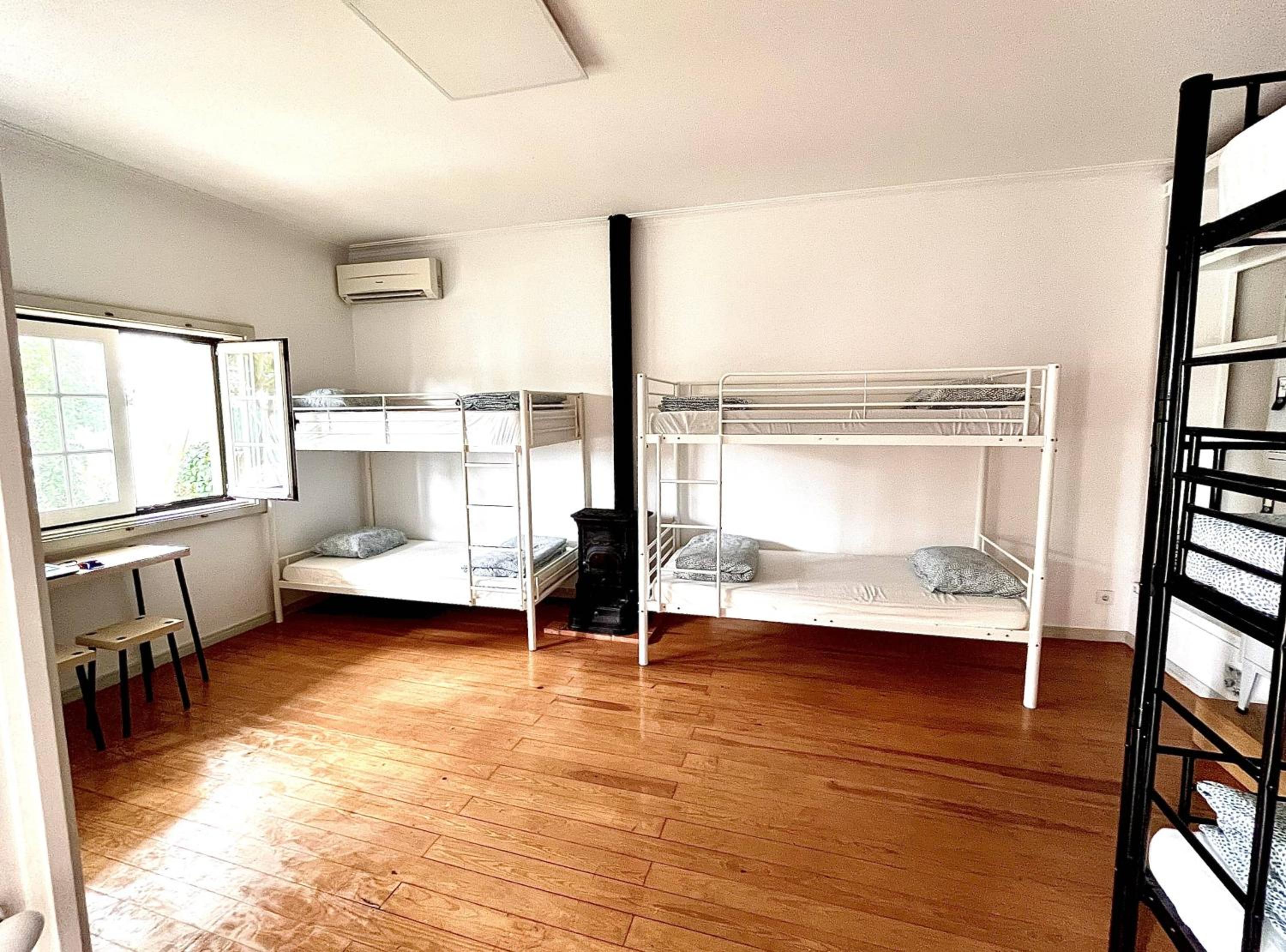 Bunk Bed in Mixed Dormitory Room photo 1