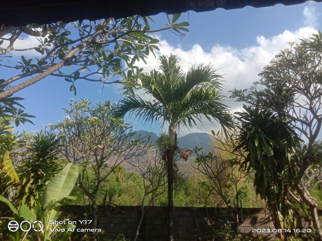 Deluxe Double or Twin Room with Garden View photo 3