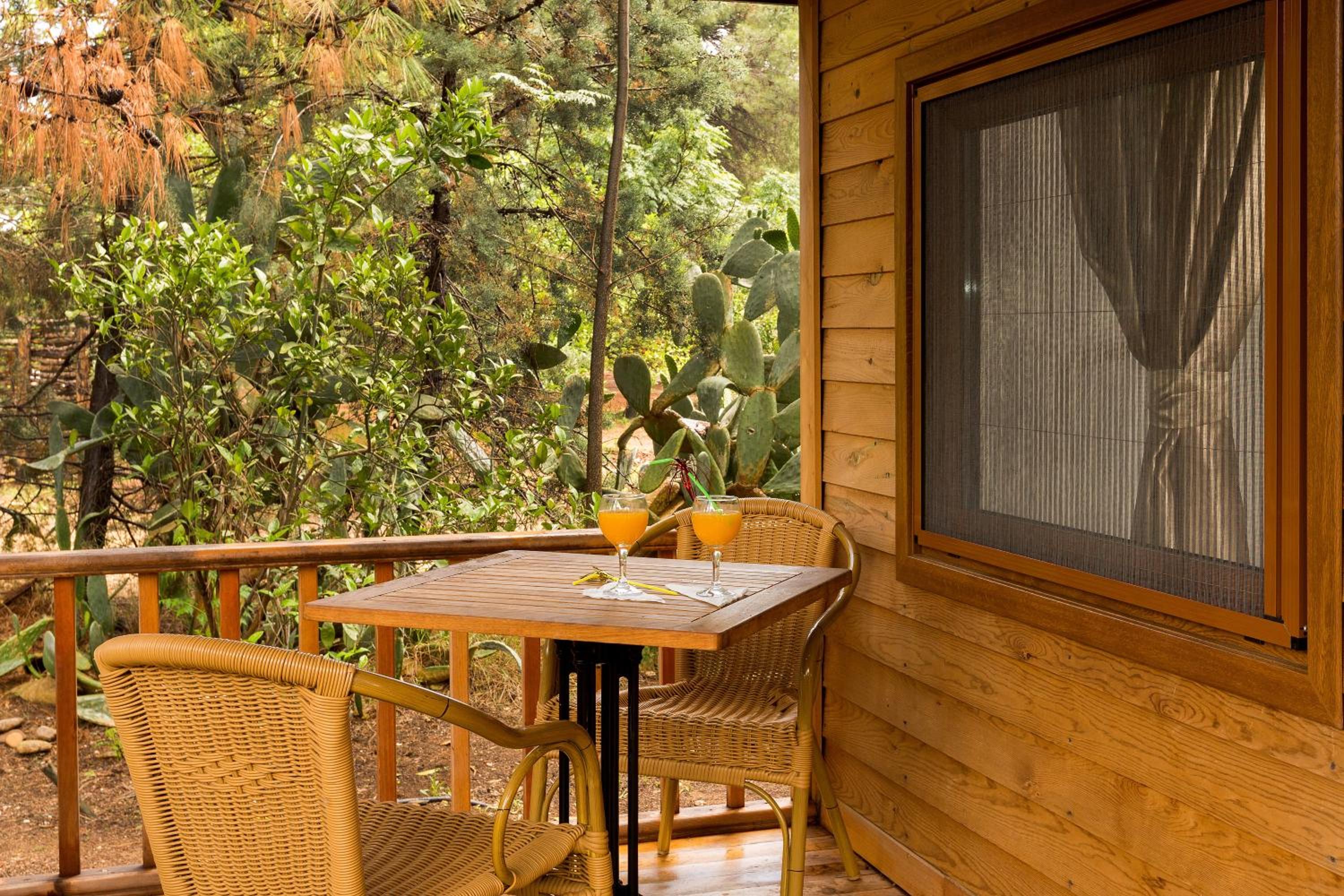 Bungalow - Beach Front photo 2