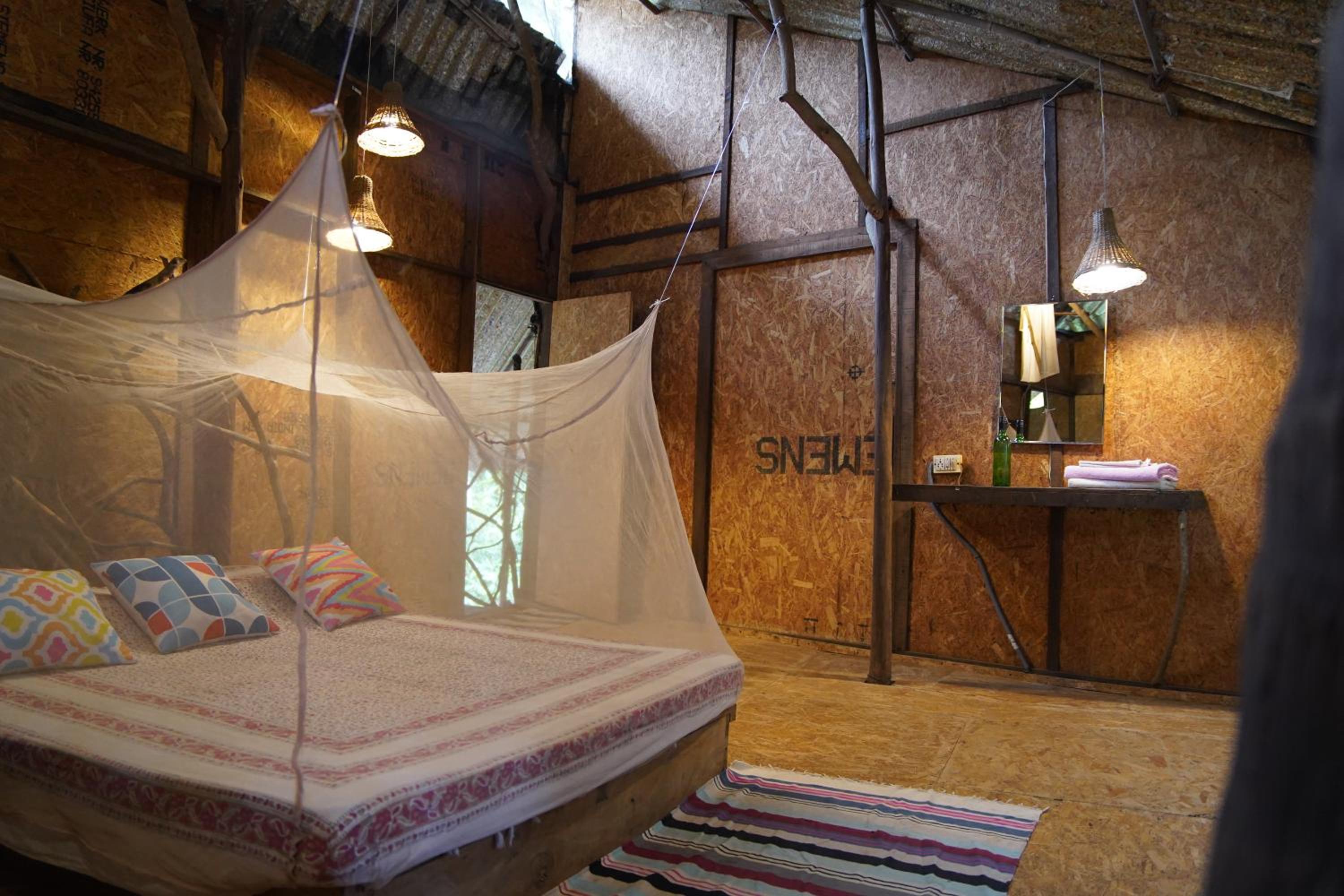 Tree House photo 1