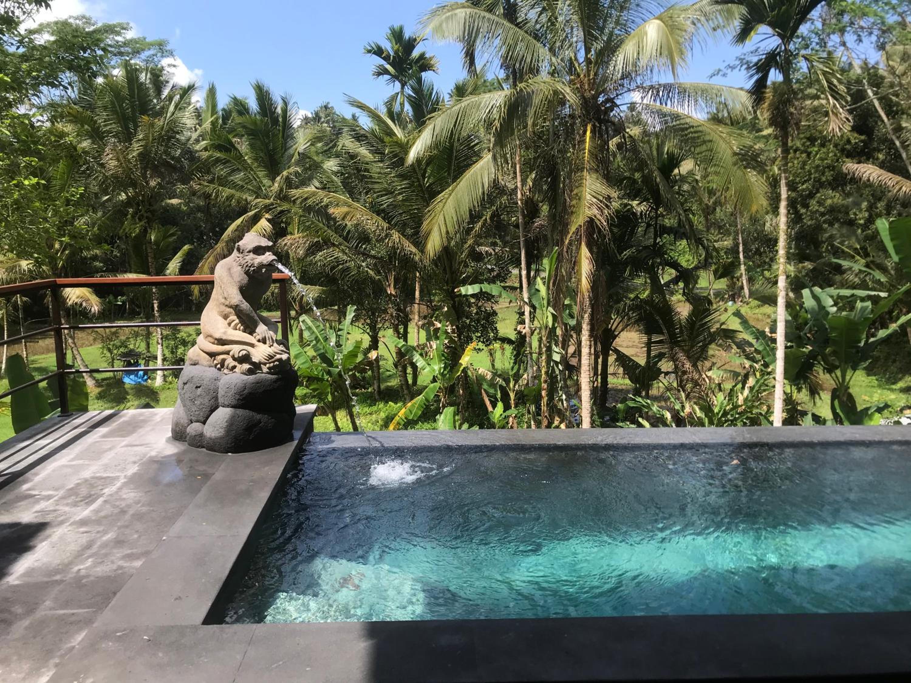 Superior Villa - Photo 51