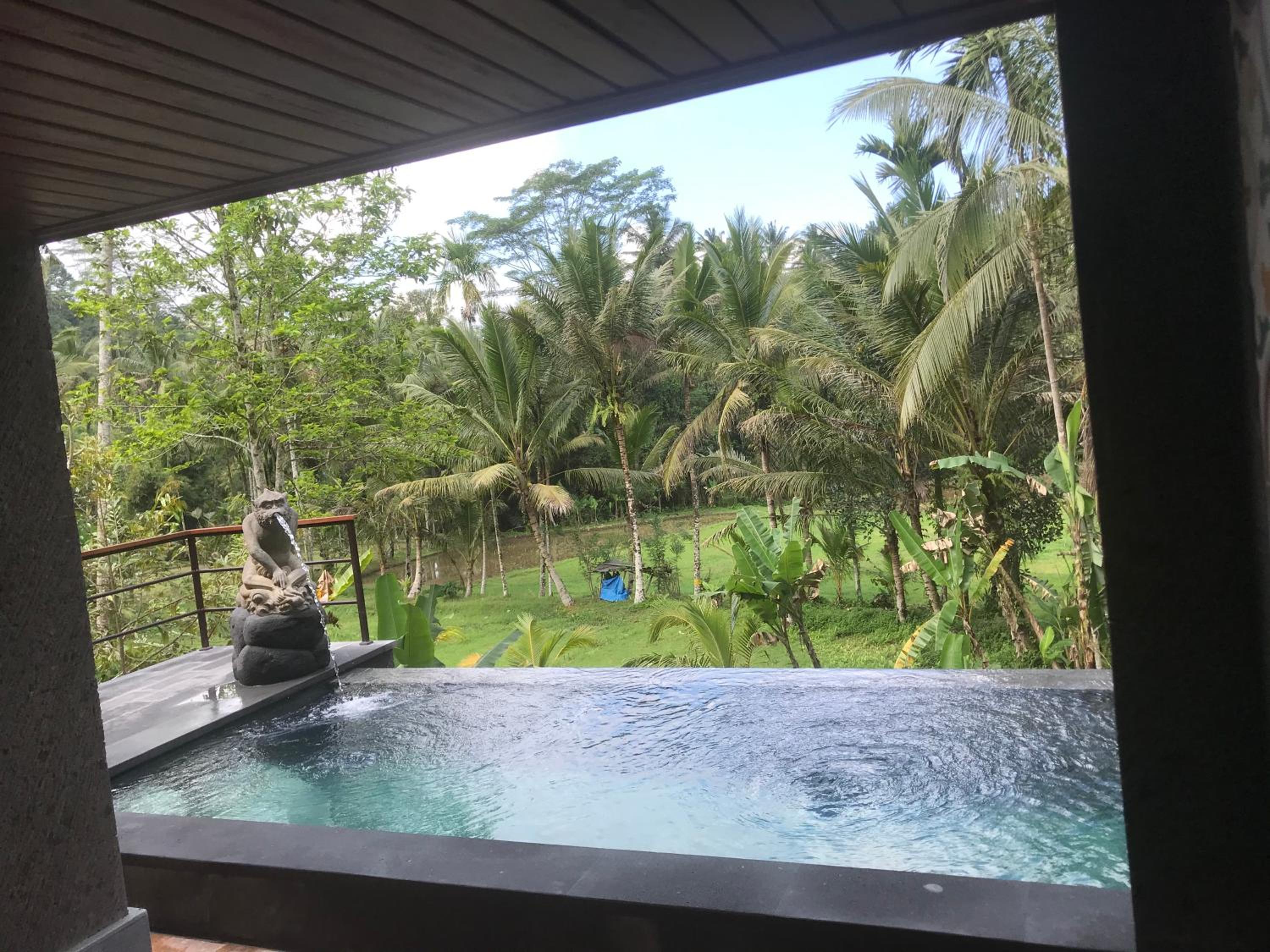 Superior Villa - Photo 49