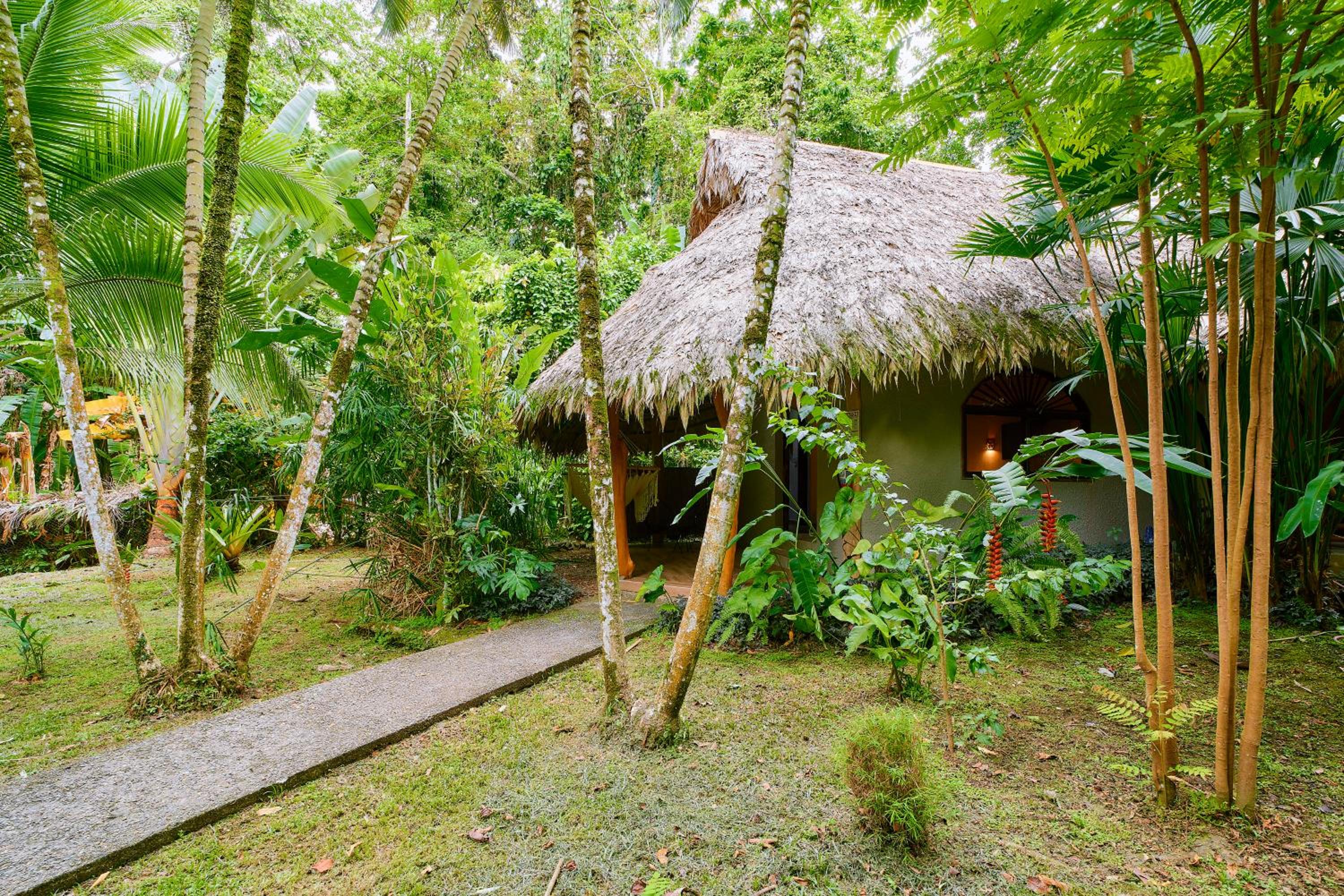 Superior Queen Double Room with Jungle View - Photo 14