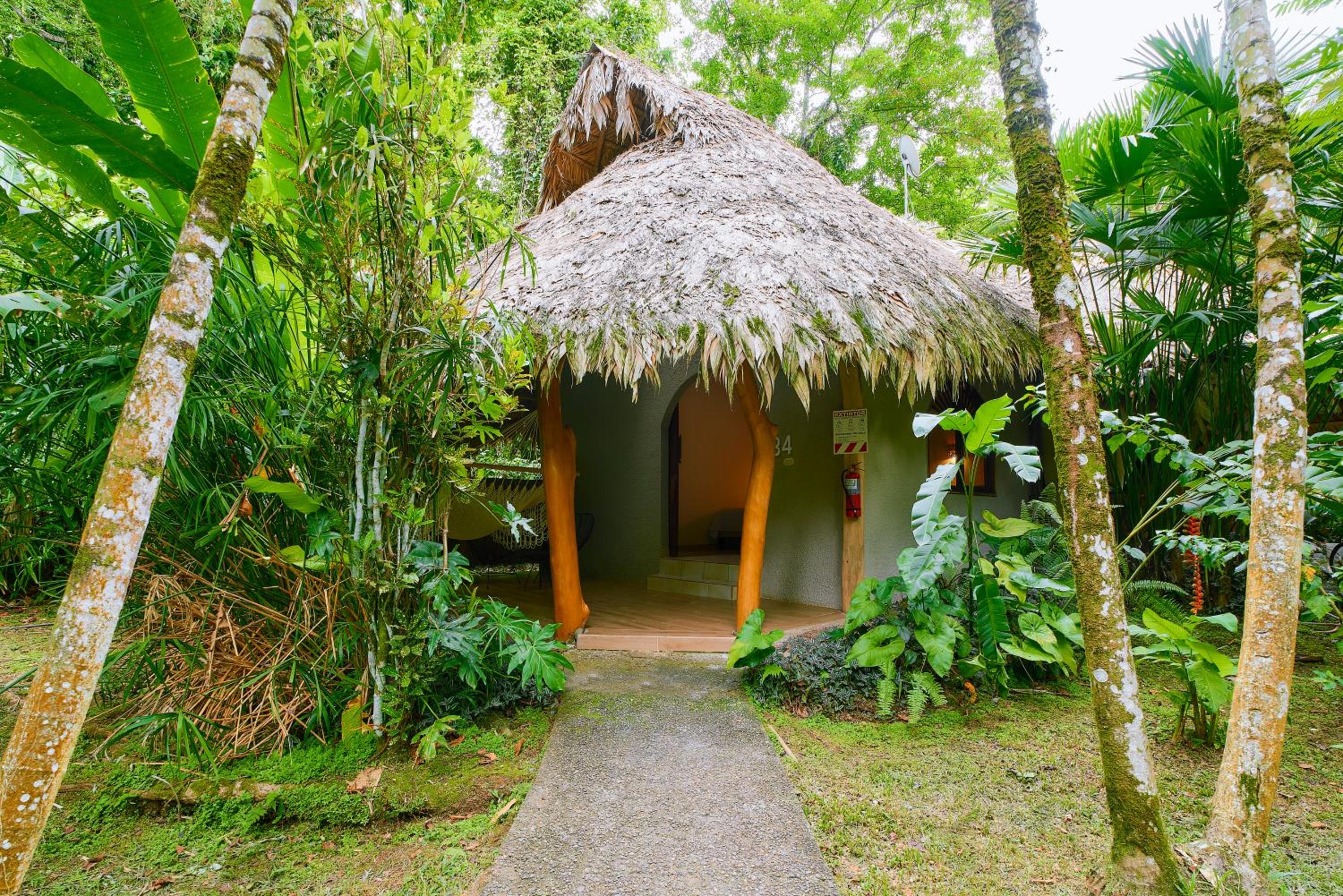 Superior Queen Double Room with Jungle View - Photo 9