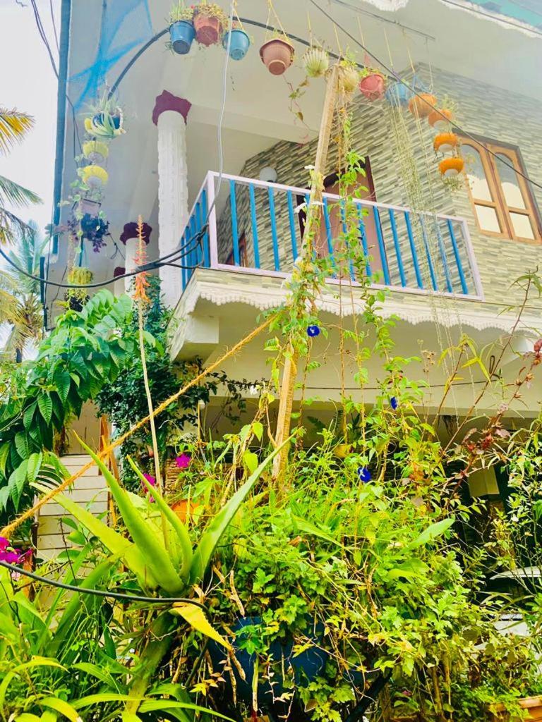 Deluxe Double or Twin Room with Balcony photo 2