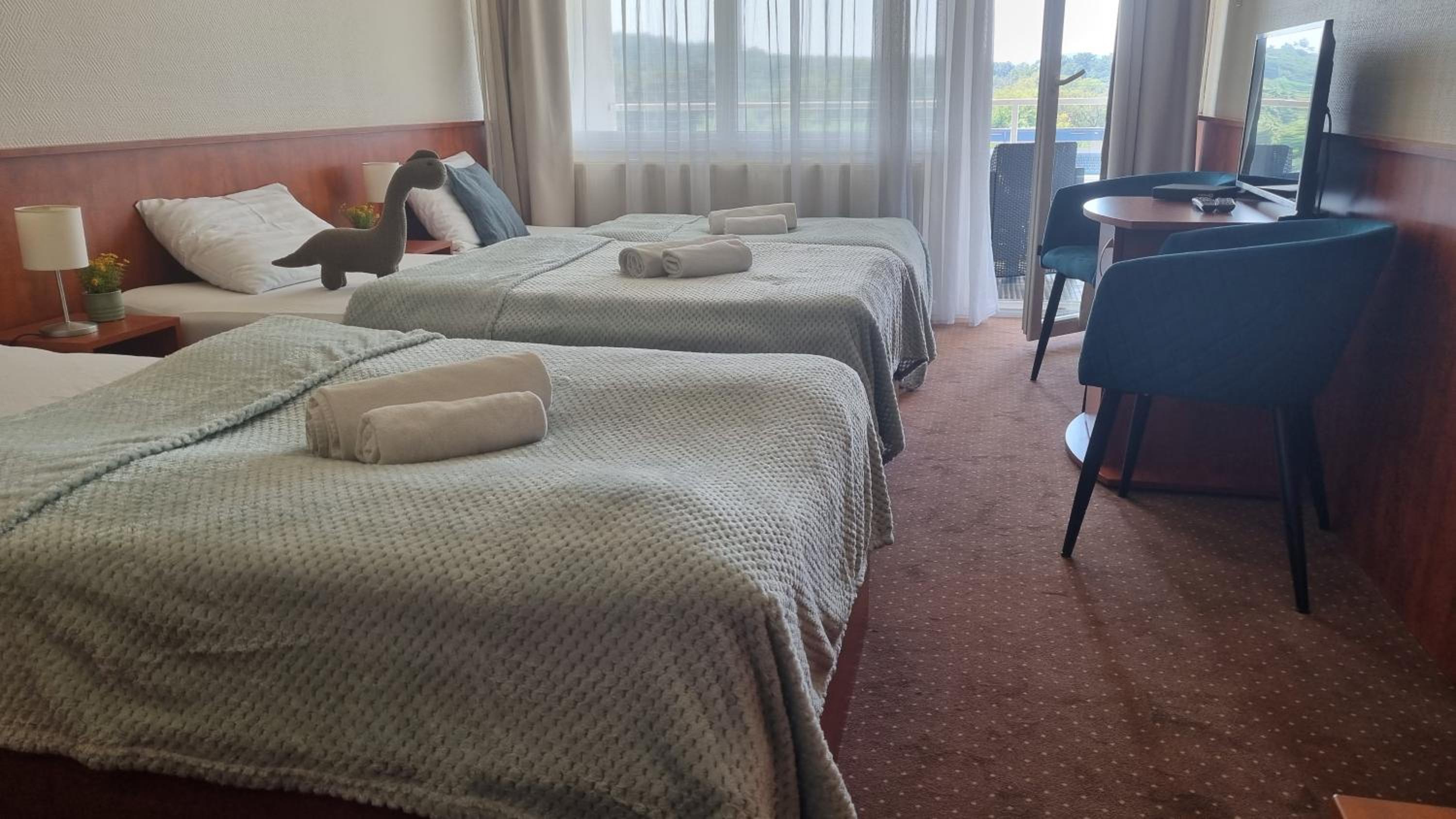 Double or Twin Room with Balcony photo 1