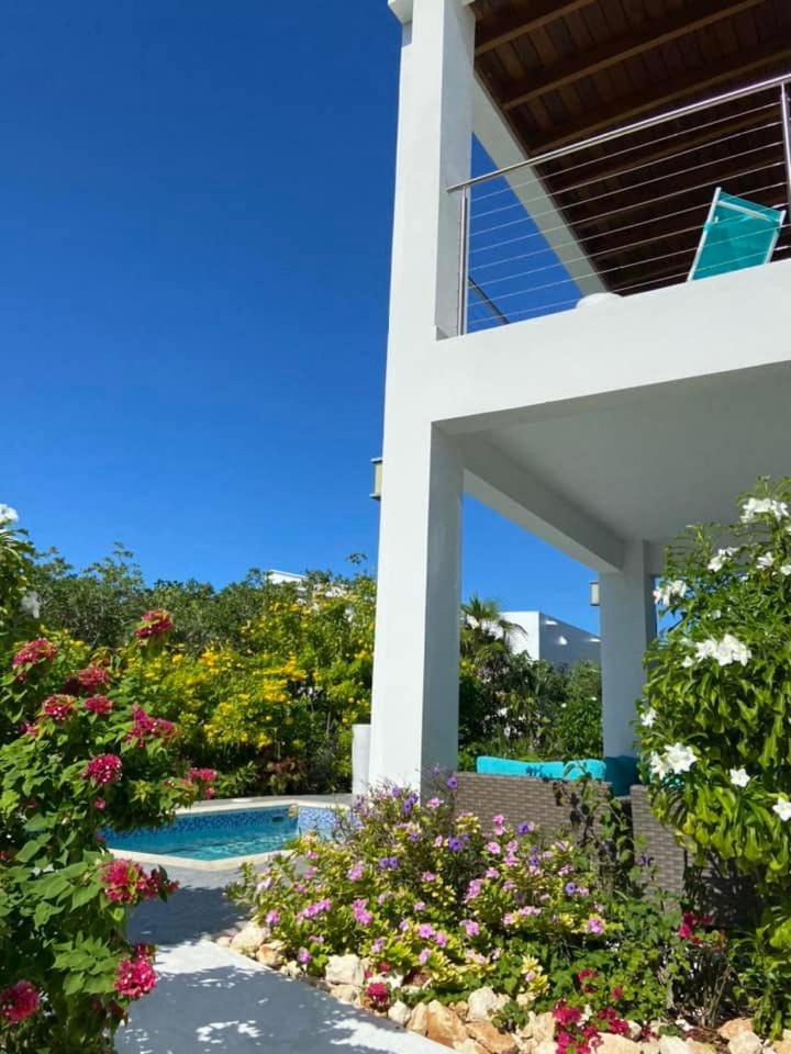 Superior Villa photo 2