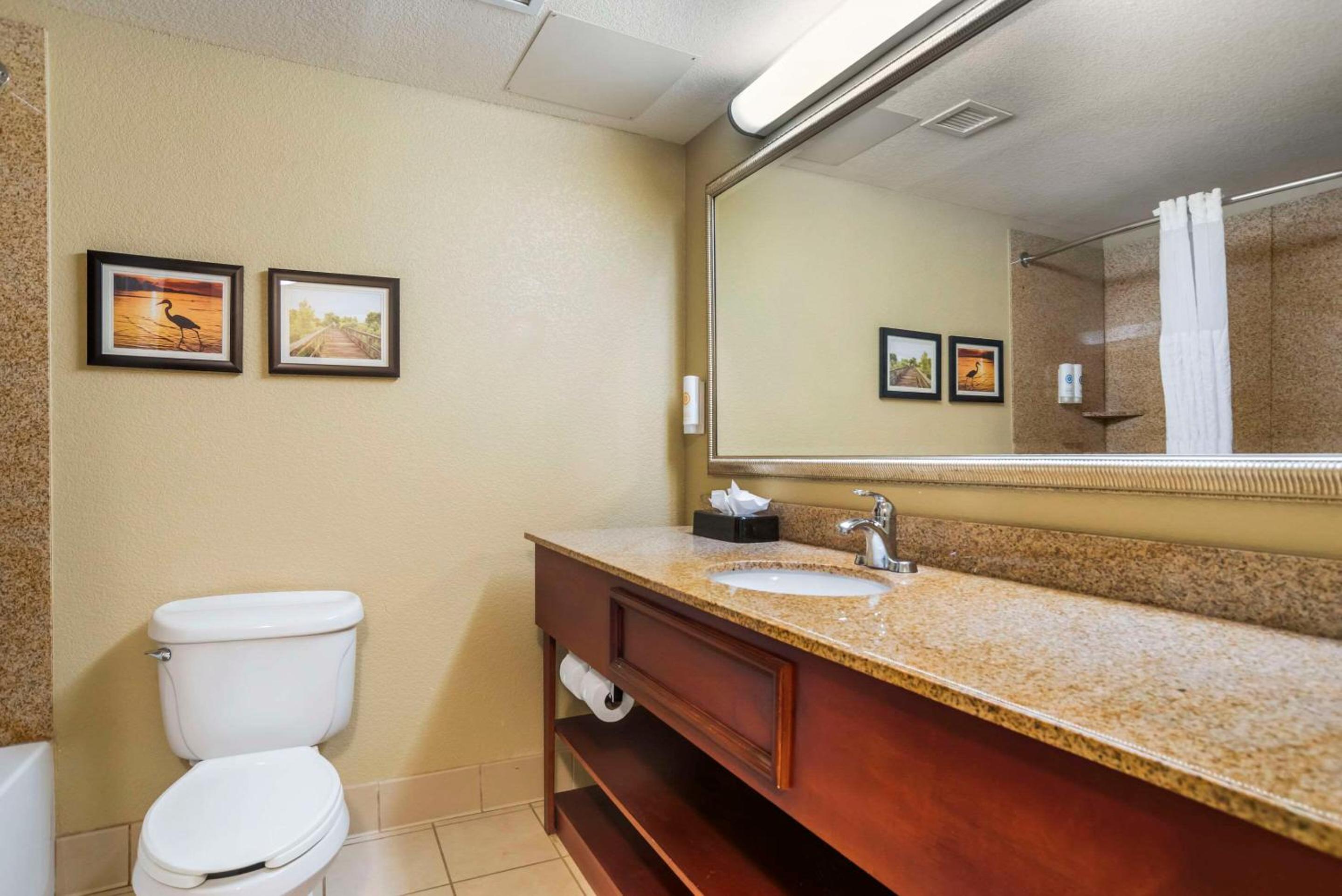 King Room photo 3