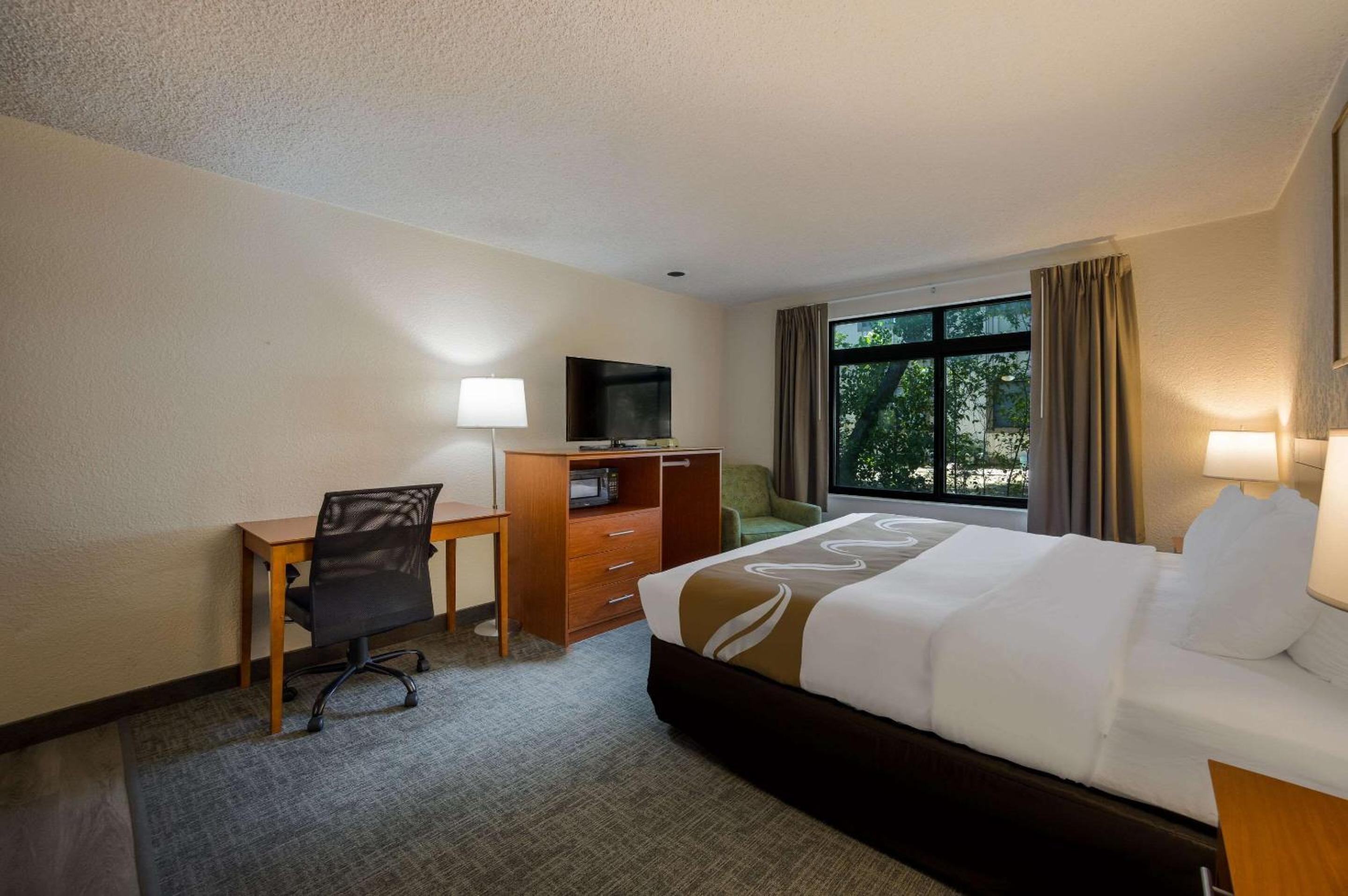 Queen Suite with Sofa Bed and Kitchenette - Non-Smoking - Photo 5
