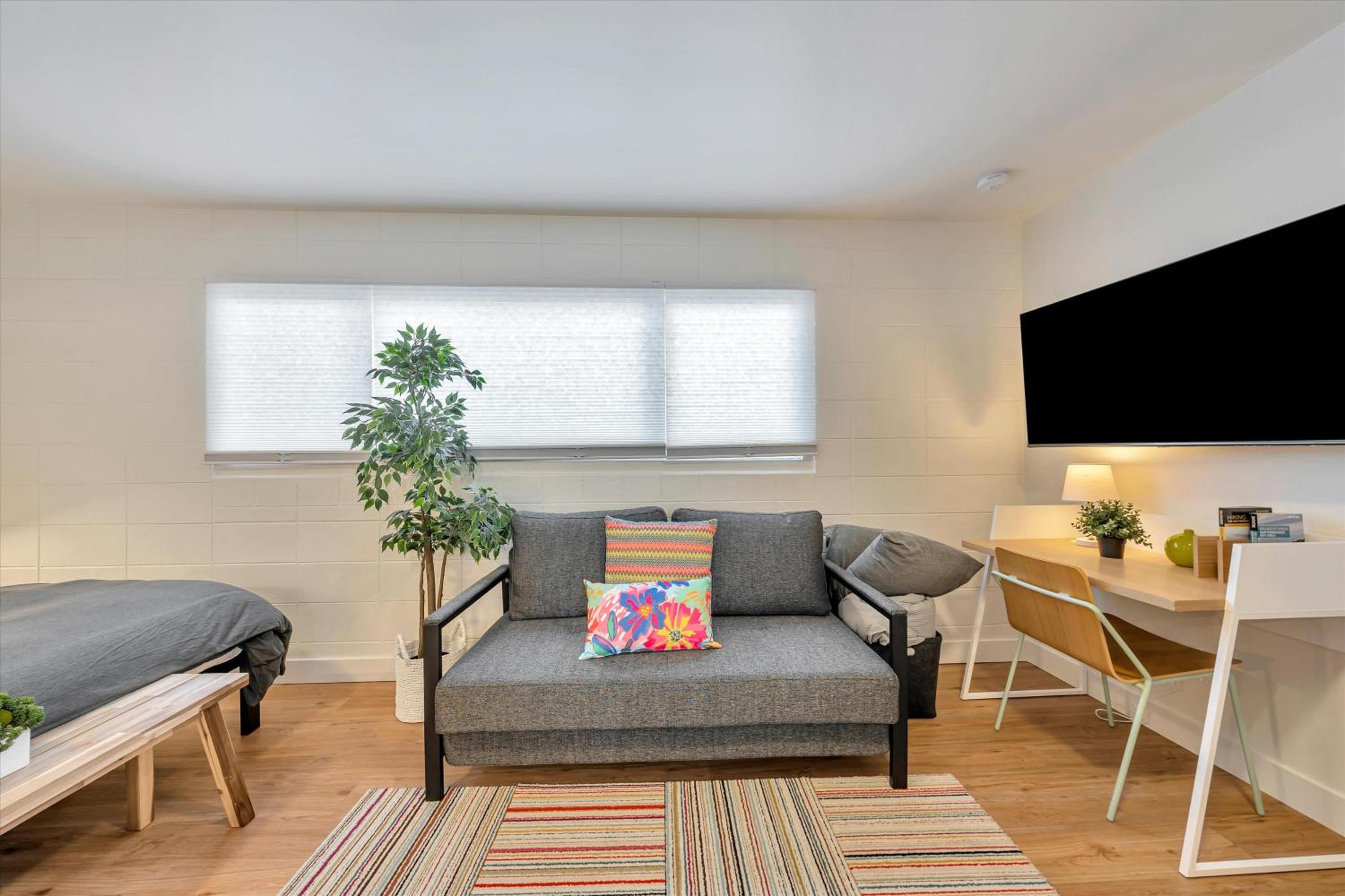 King Studio with Sofa Bed photo 3