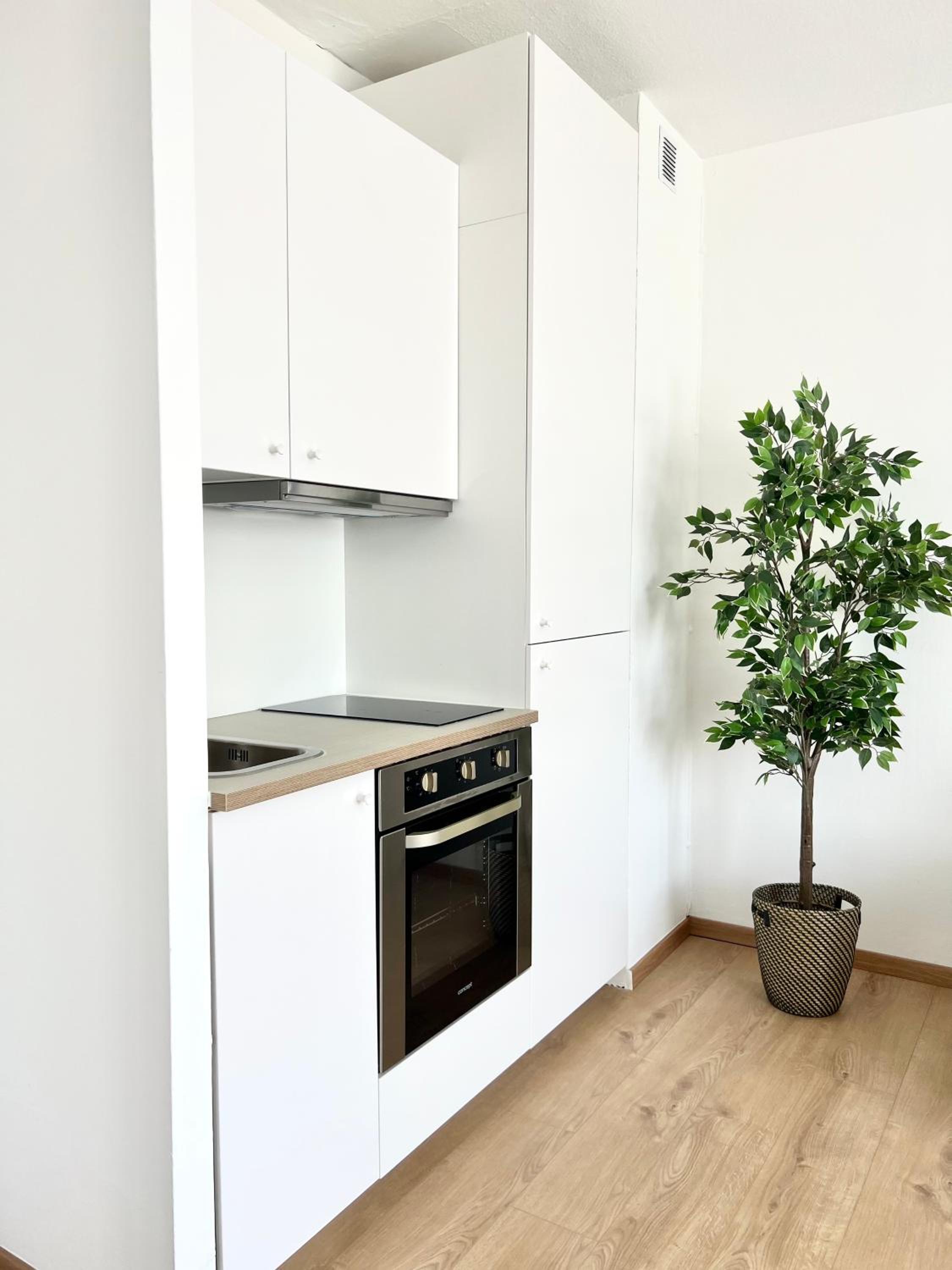 One-Bedroom Apartment photo 2