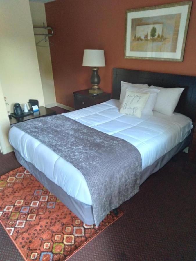 Budget Single Room photo 2