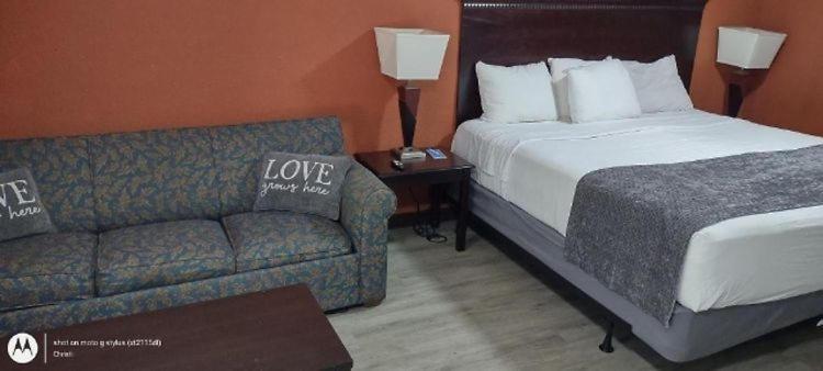 King Studio with Sofa Bed