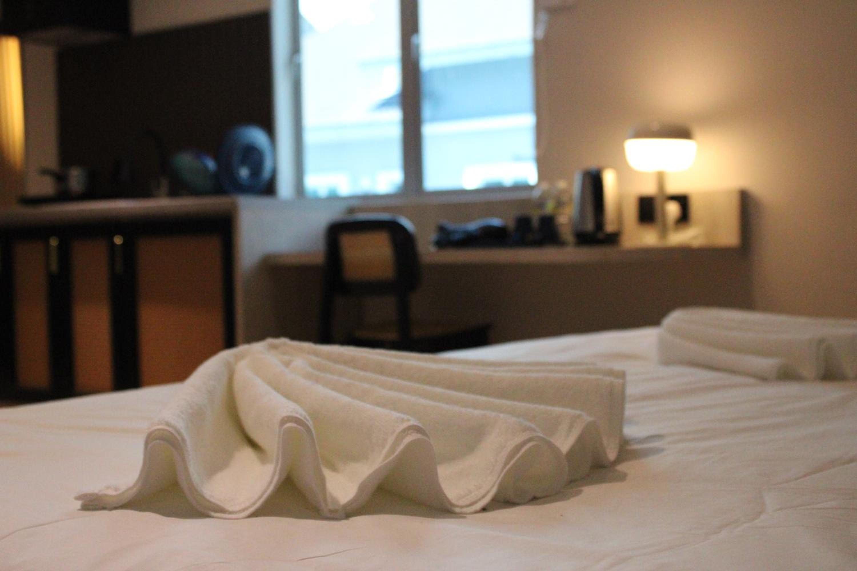 Deluxe Suite - Photo 19