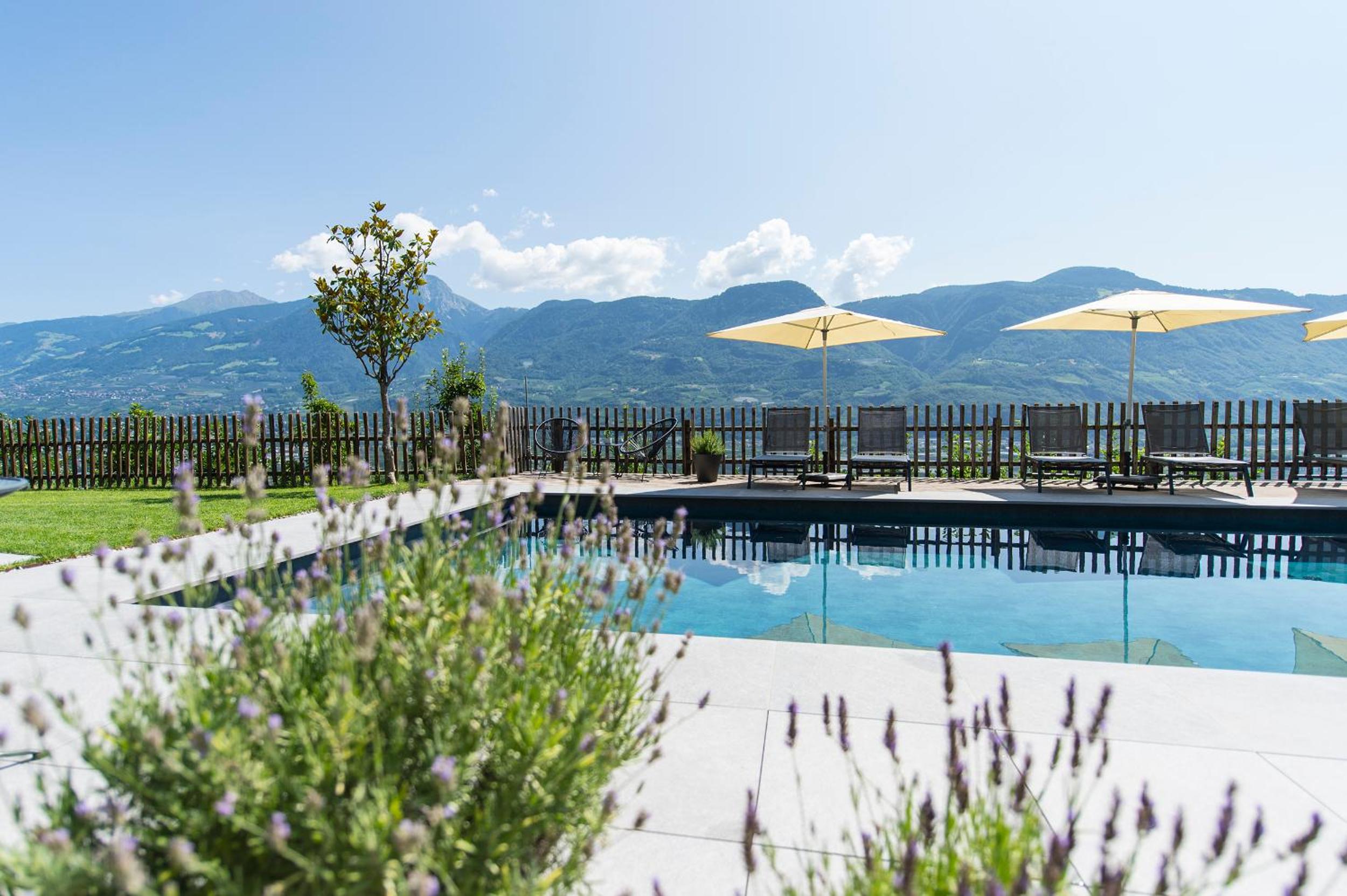 One-Bedroom Apartment with Balcony and Mountain View   photo 3