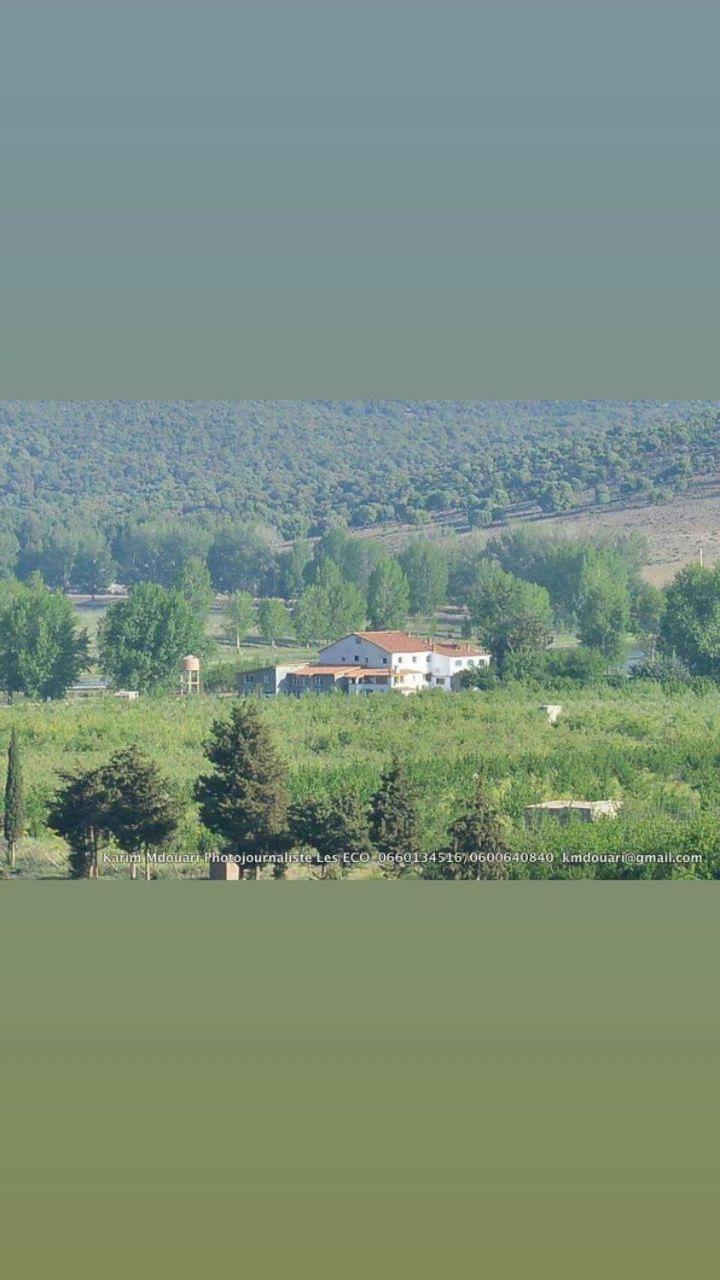 Chalet - Photo 2