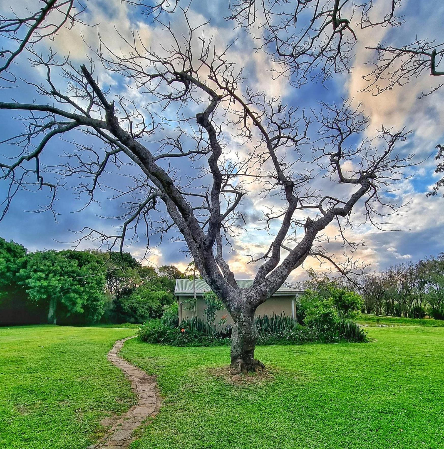 Vacation Home - Photo 27