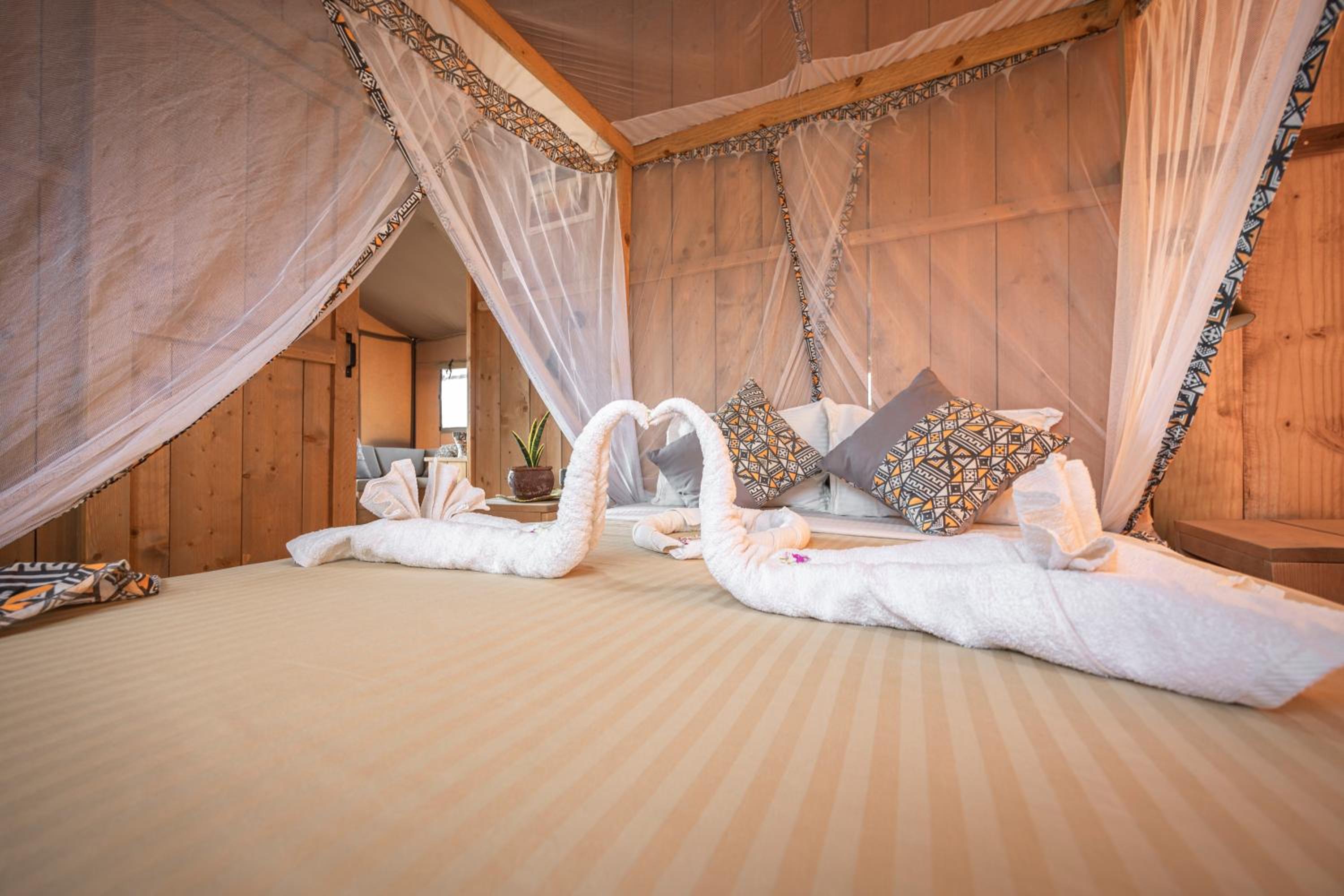 Safari Luxury Accommodations - Photo 6