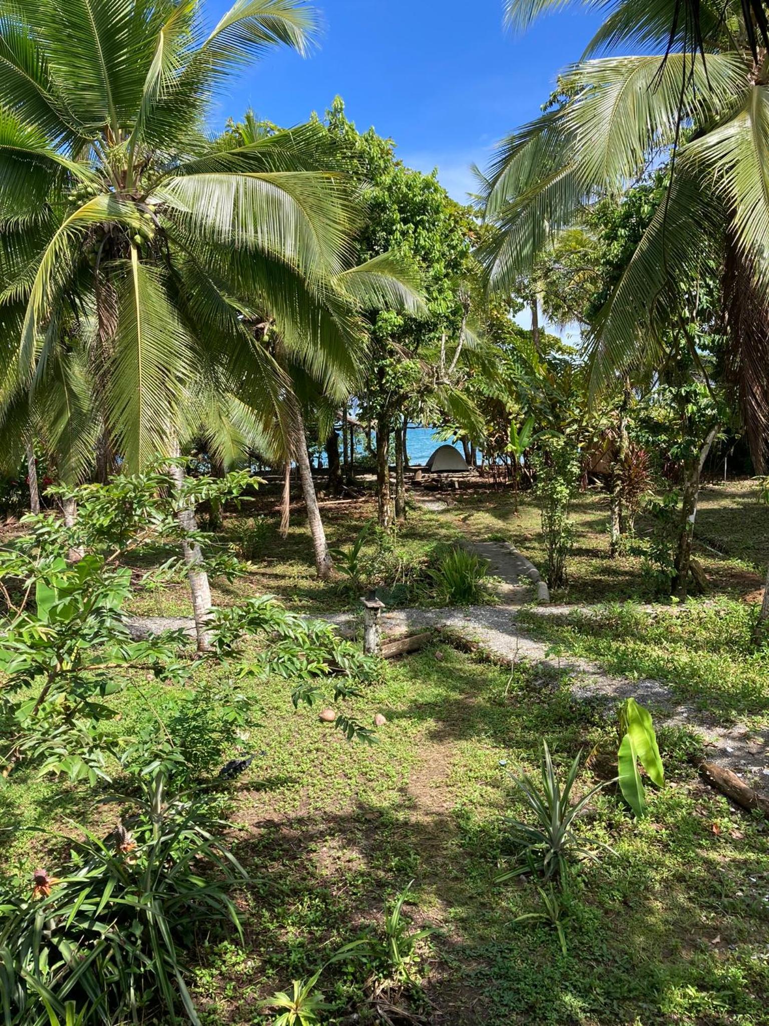 Deluxe Double Room With Sea View photo 3