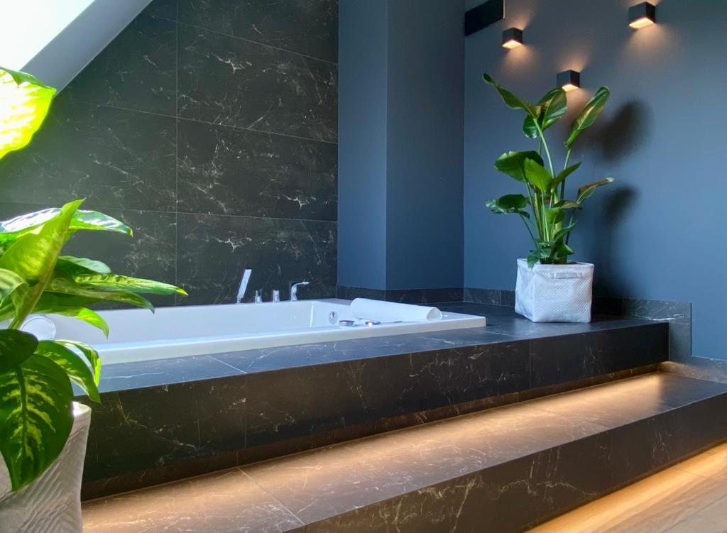Deluxe Suite with Spa Bath photo 2
