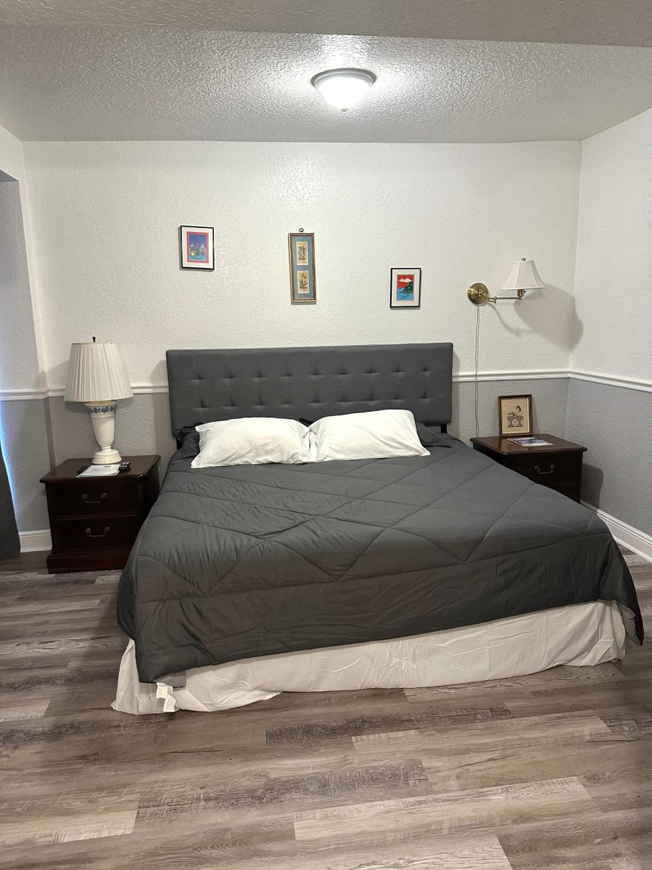 Suite - Photo 1